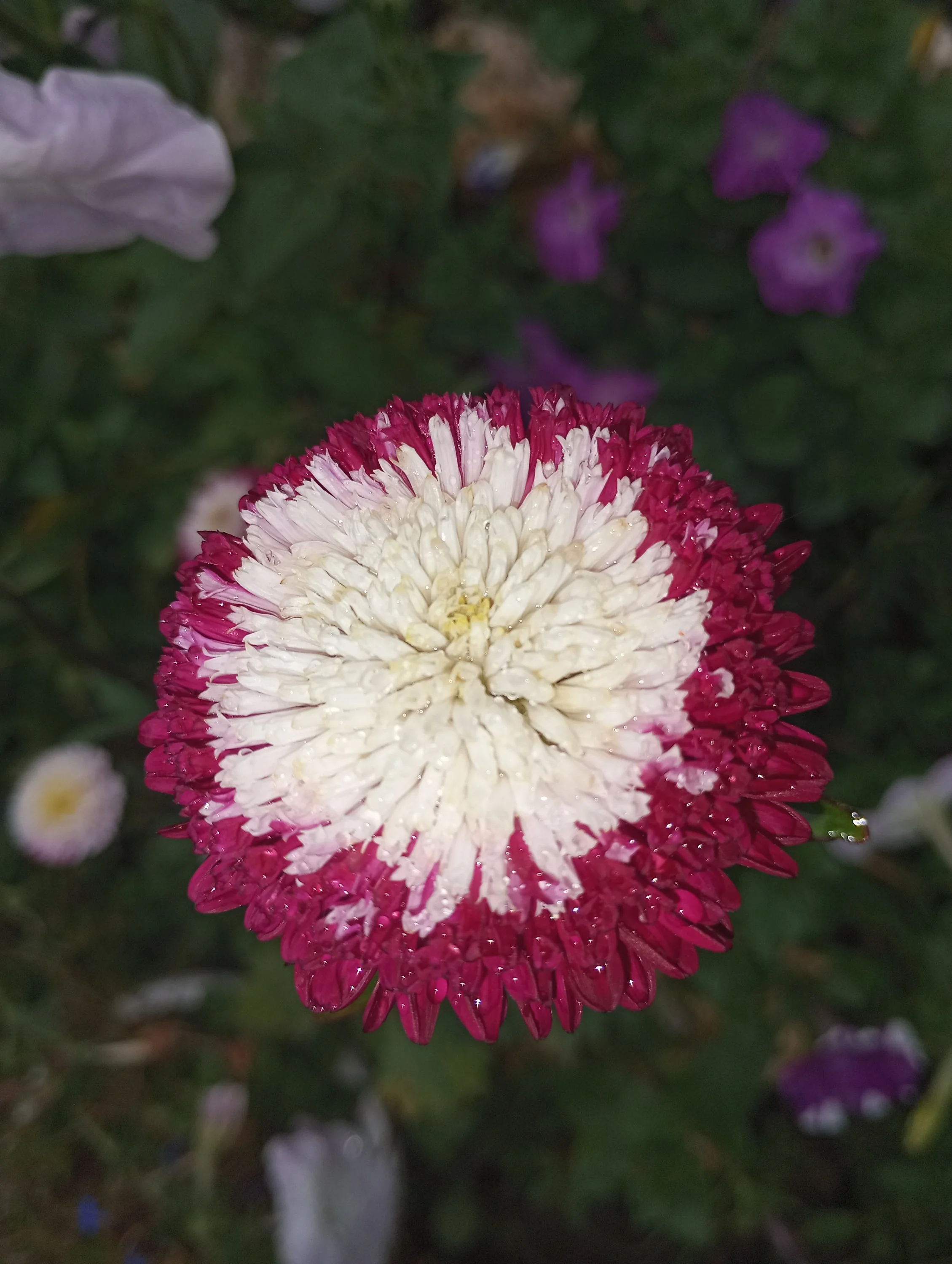 2023-09-25 15-54-43.webp