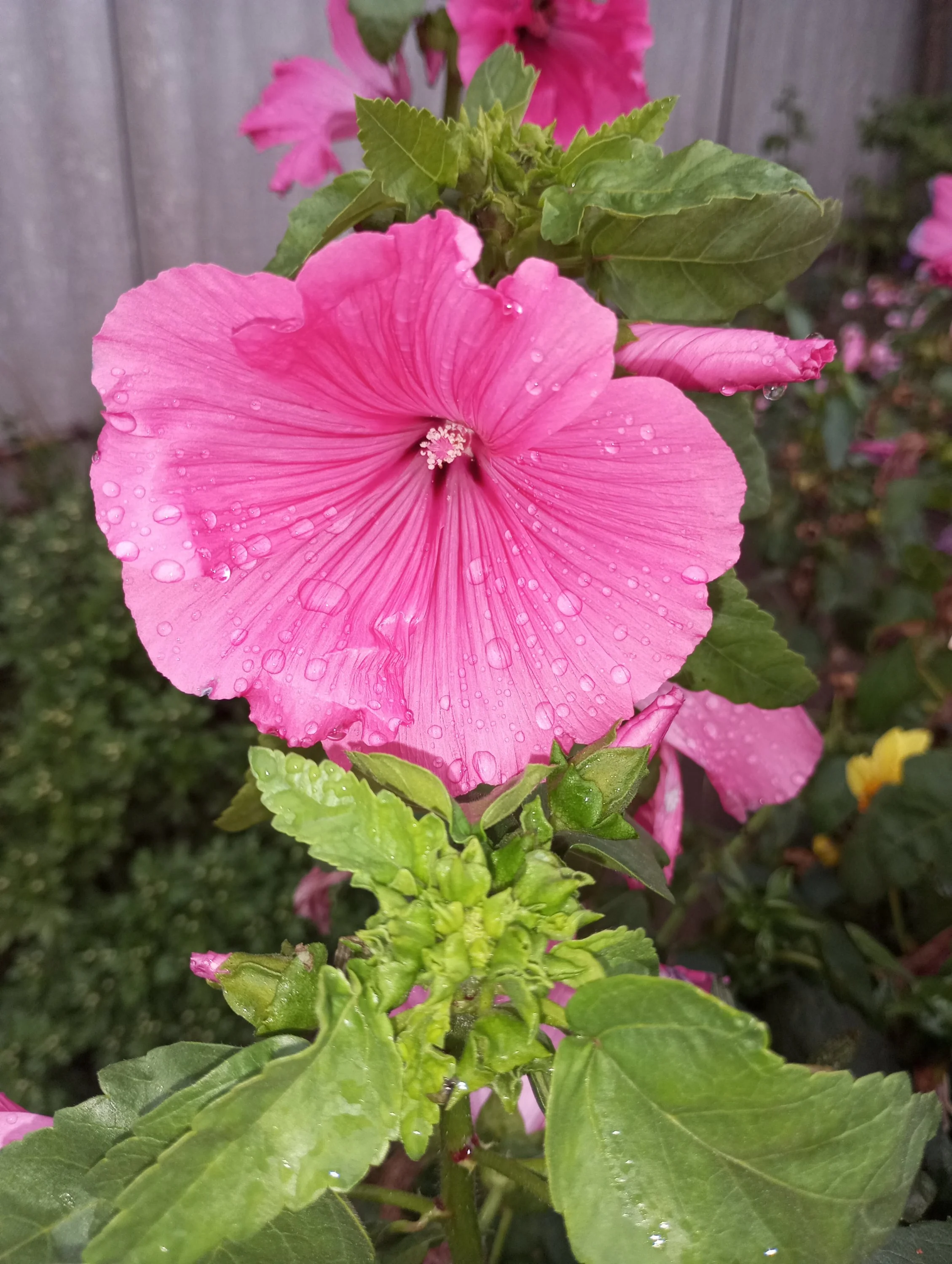 2023-09-25 15-54-53.webp