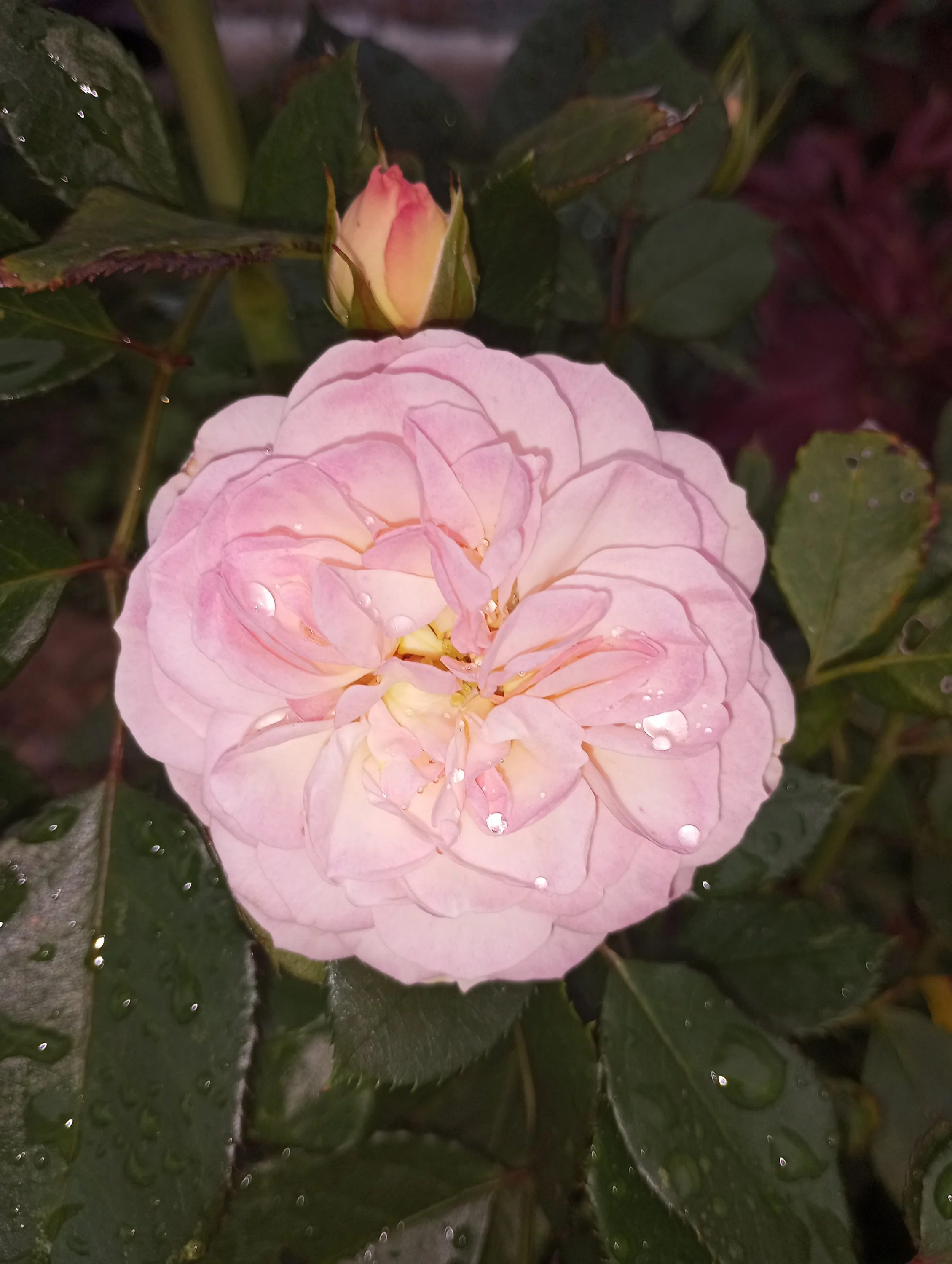 2023-09-25 15-56-09.webp