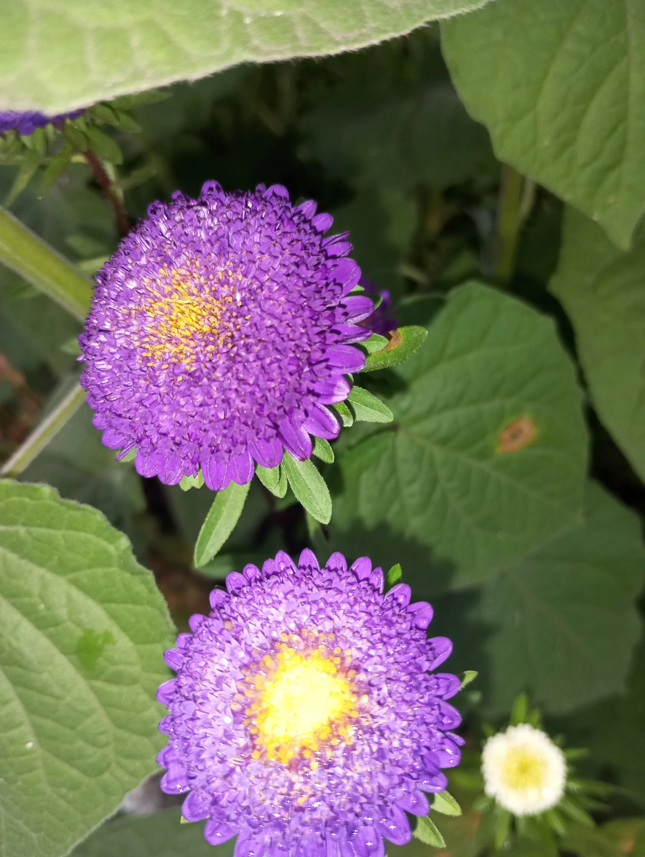 2023-09-25 15-57-06.webp