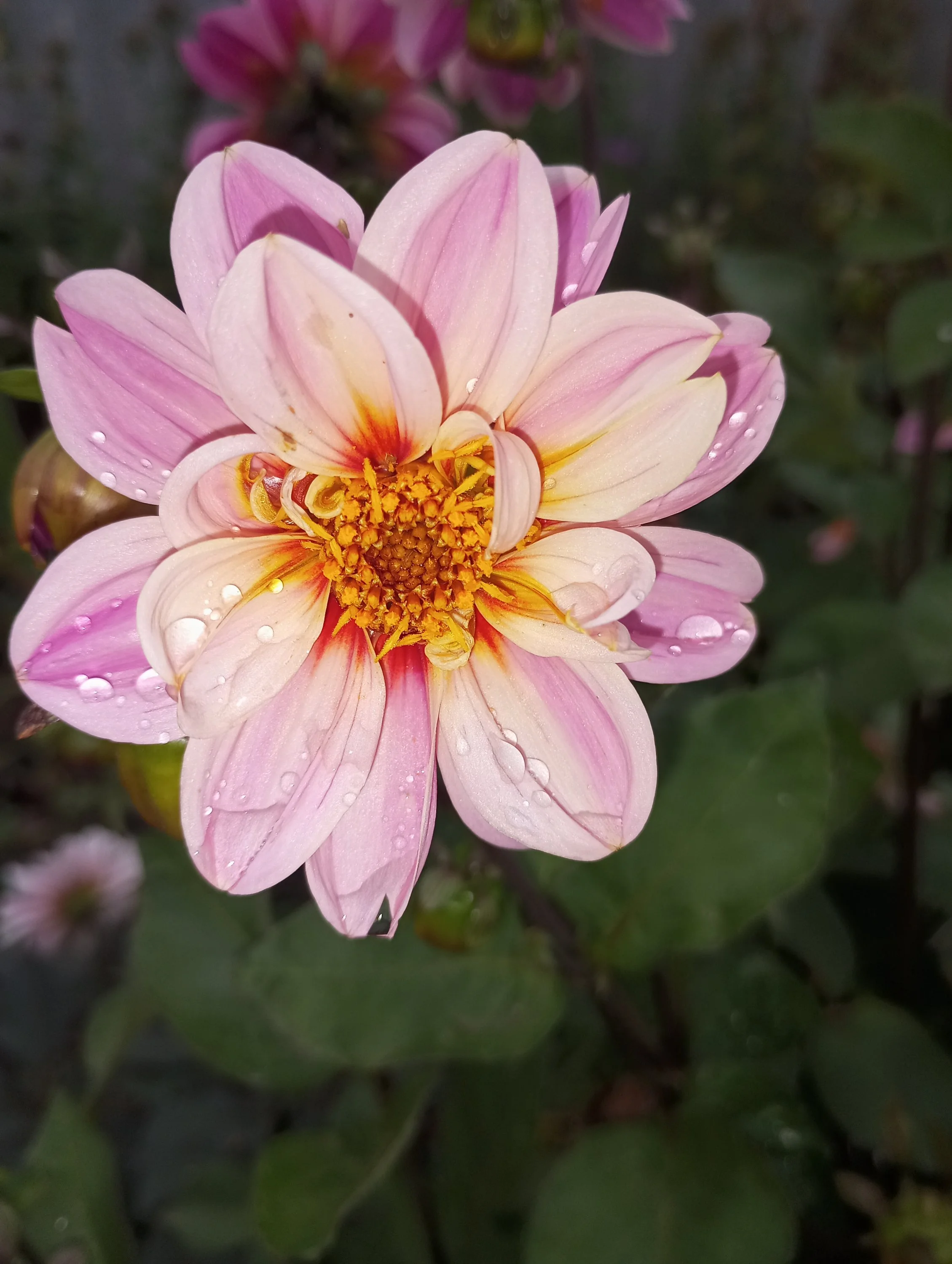 2023-09-25 15-58-01.webp