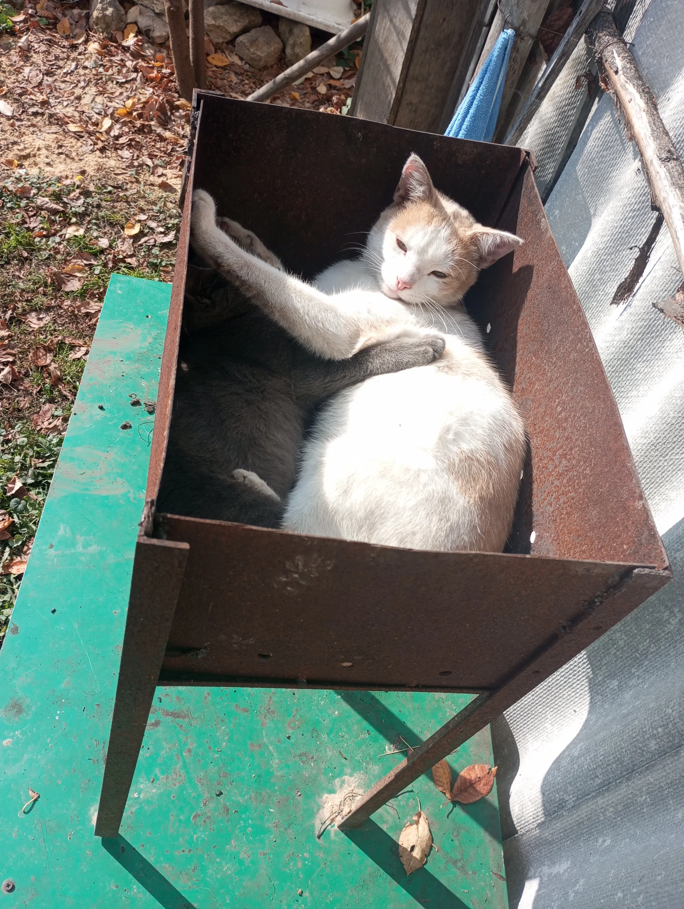 2023-09-26 11-56-35.webp