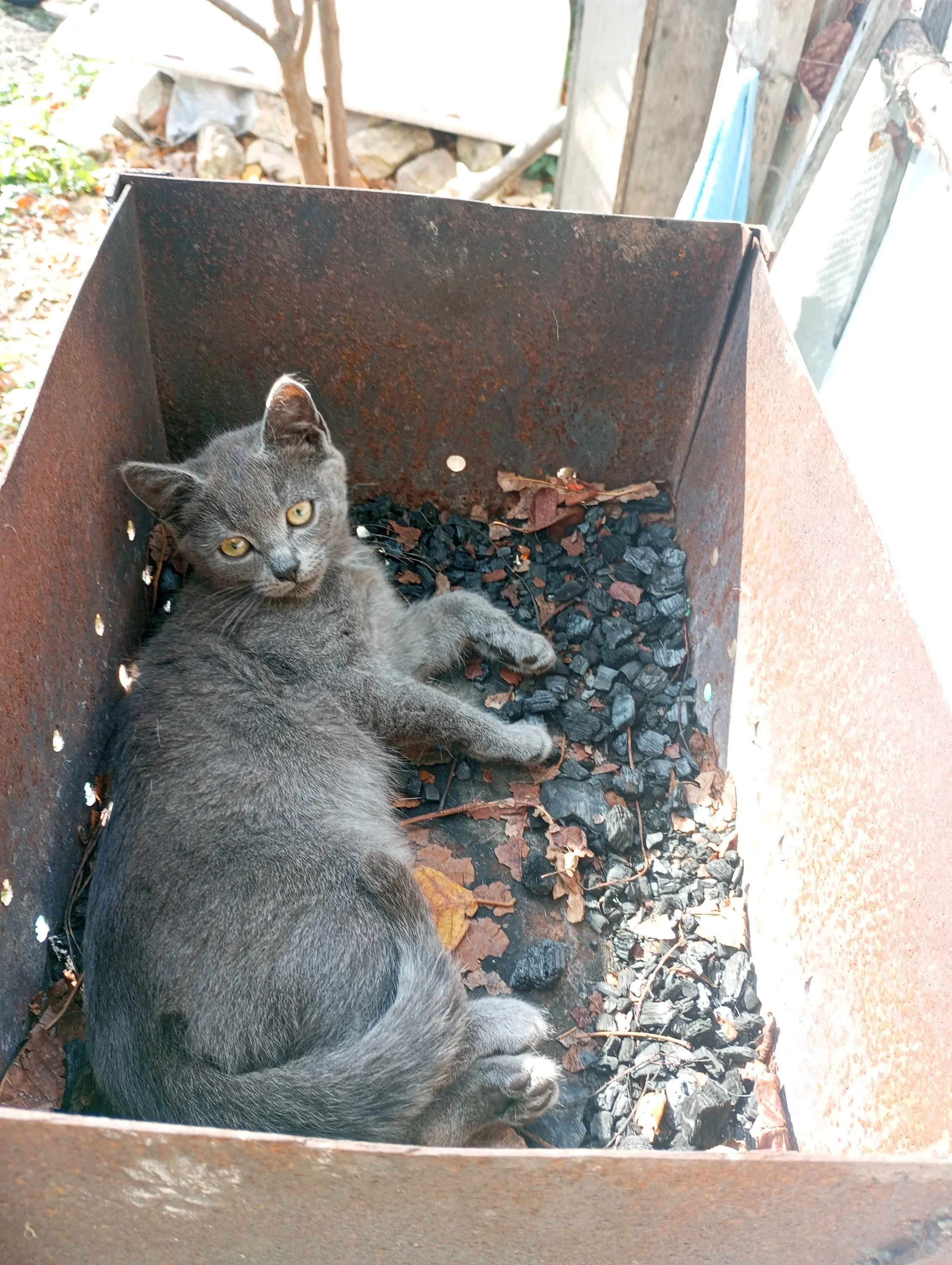 2023-09-26 11-56-54.webp