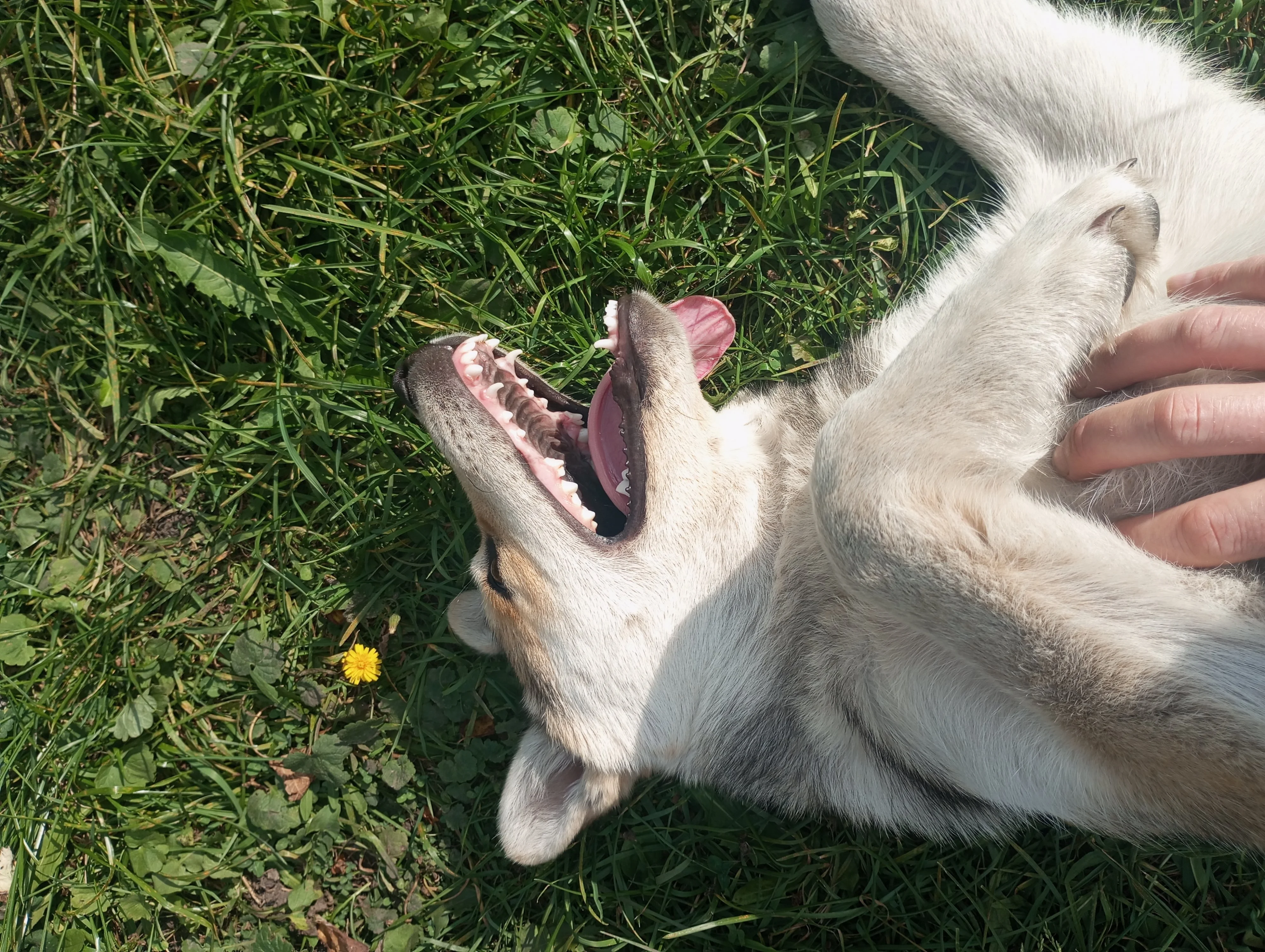 2023-10-01 13-00-57.webp