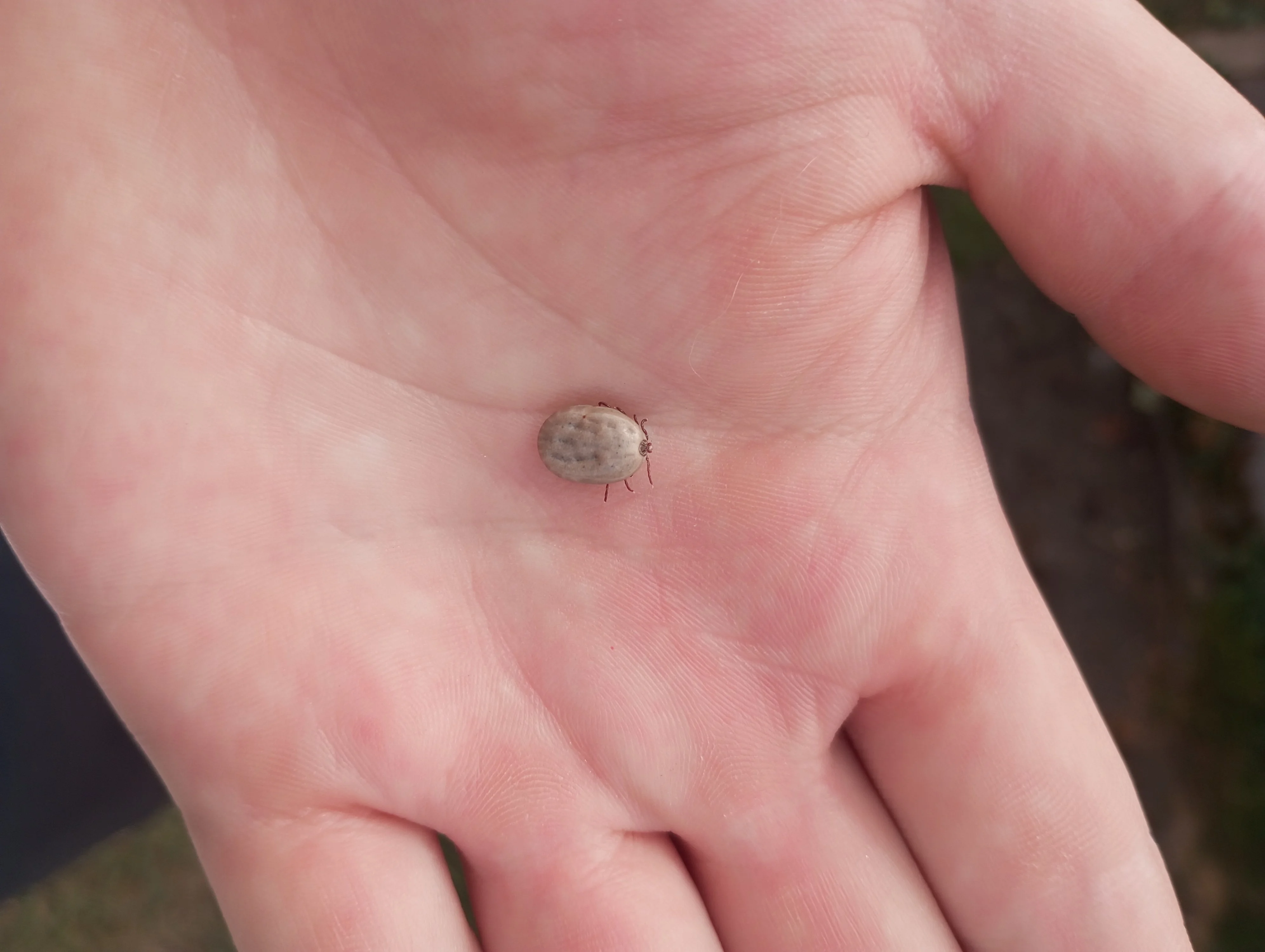 2023-10-01 13-15-15.webp