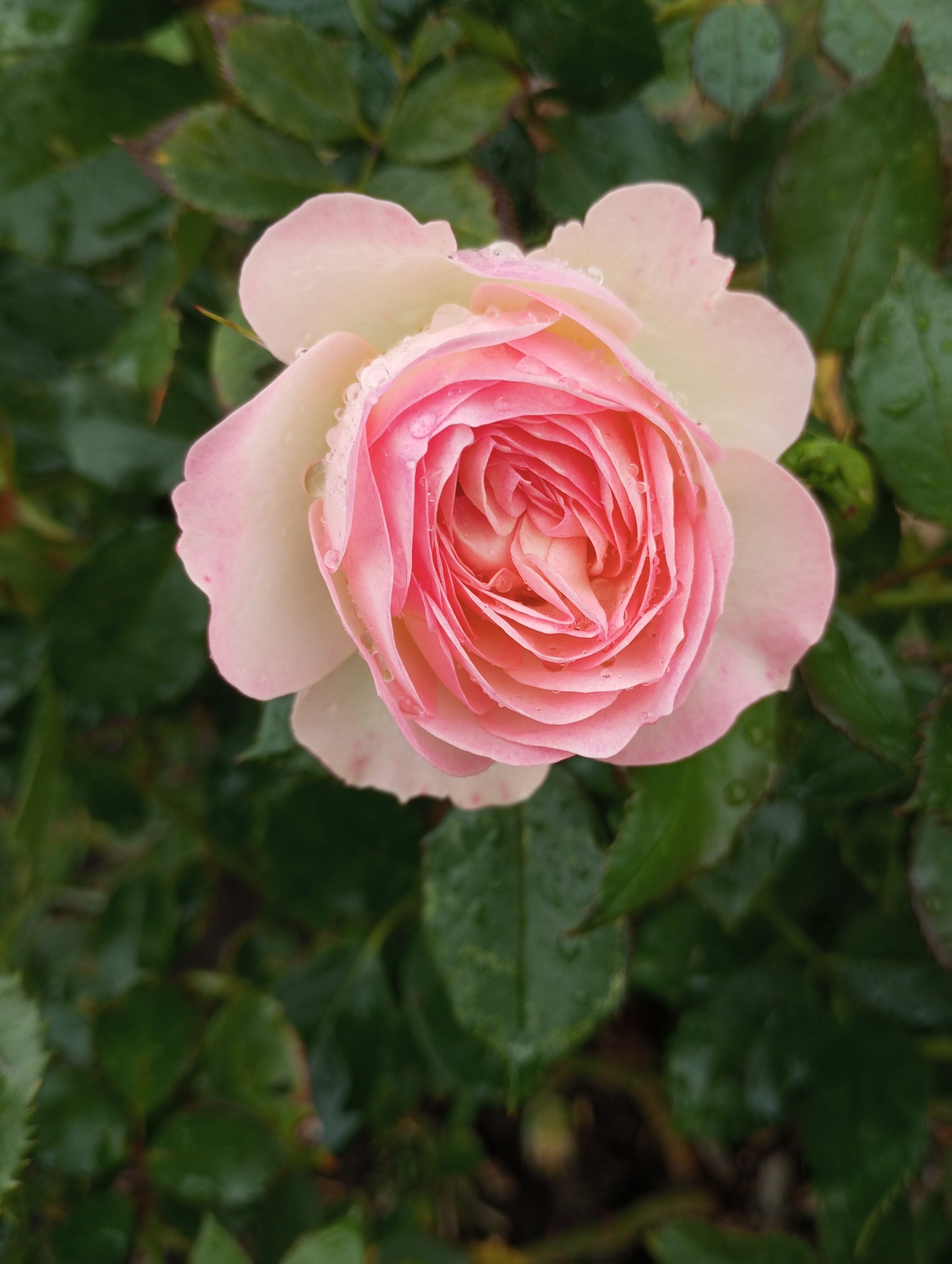 2023-10-06 14-39-59.JPG