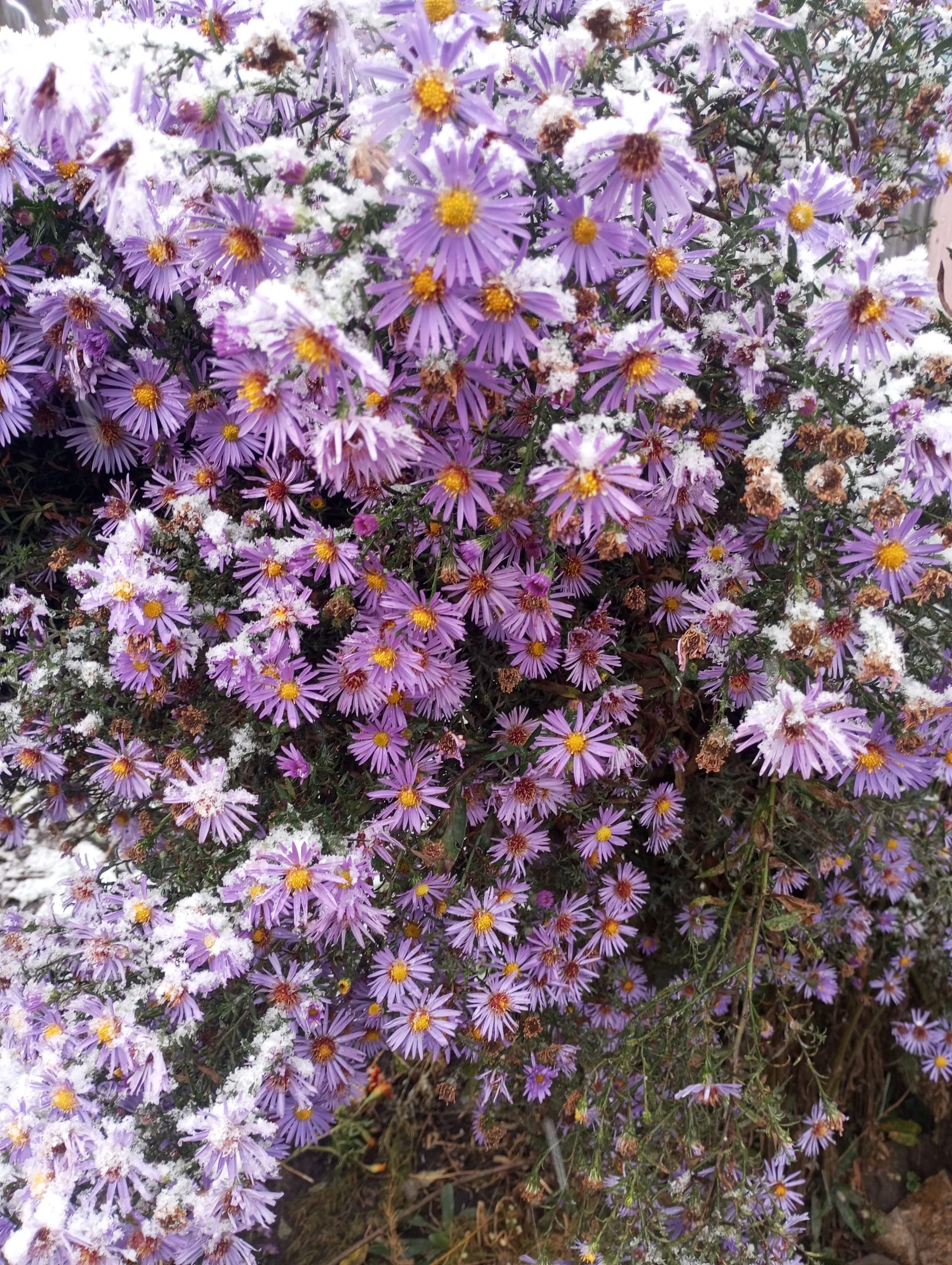 2023-10-10 10-02-06.webp