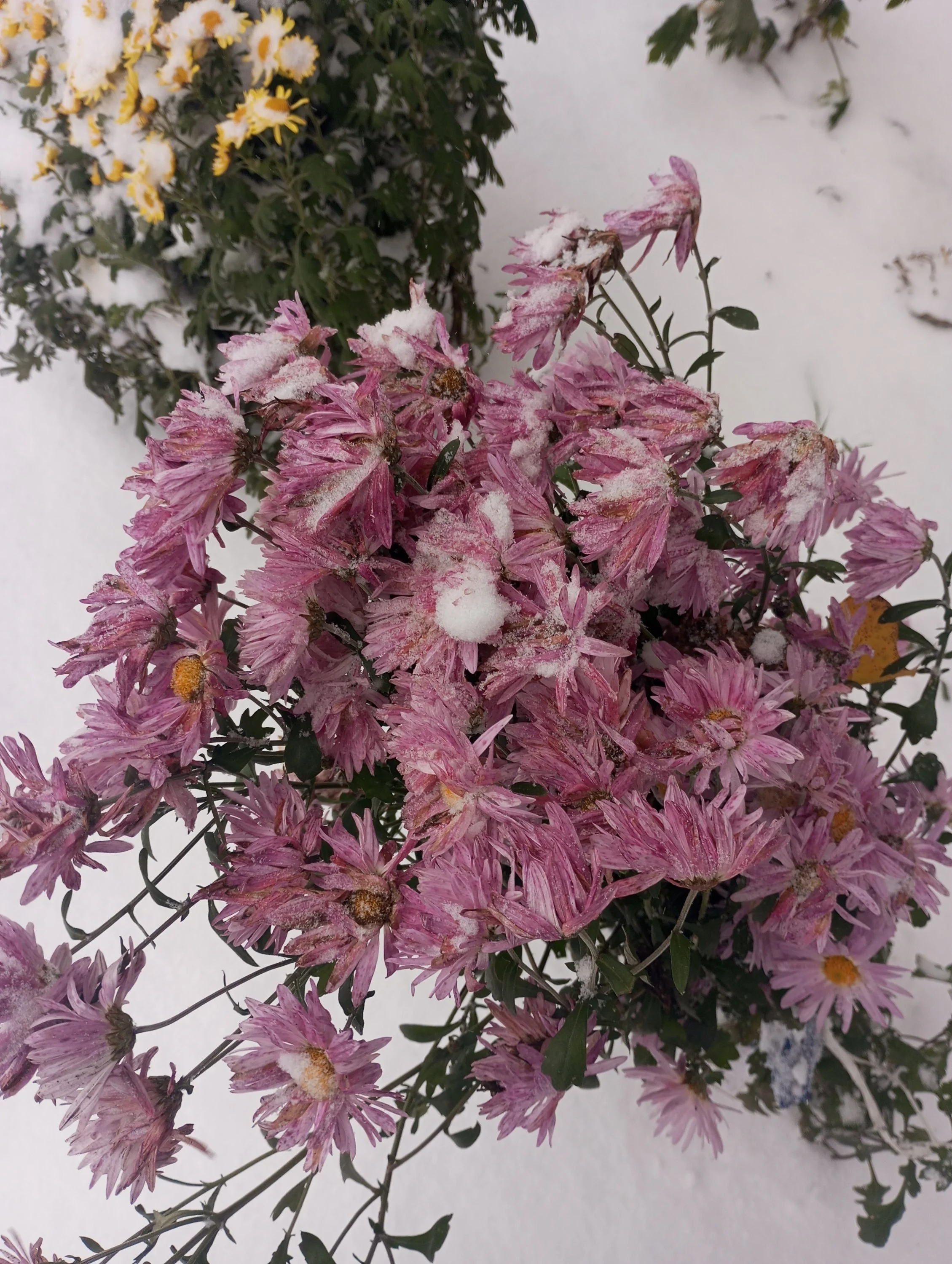 2023-10-26 14-48-33.webp