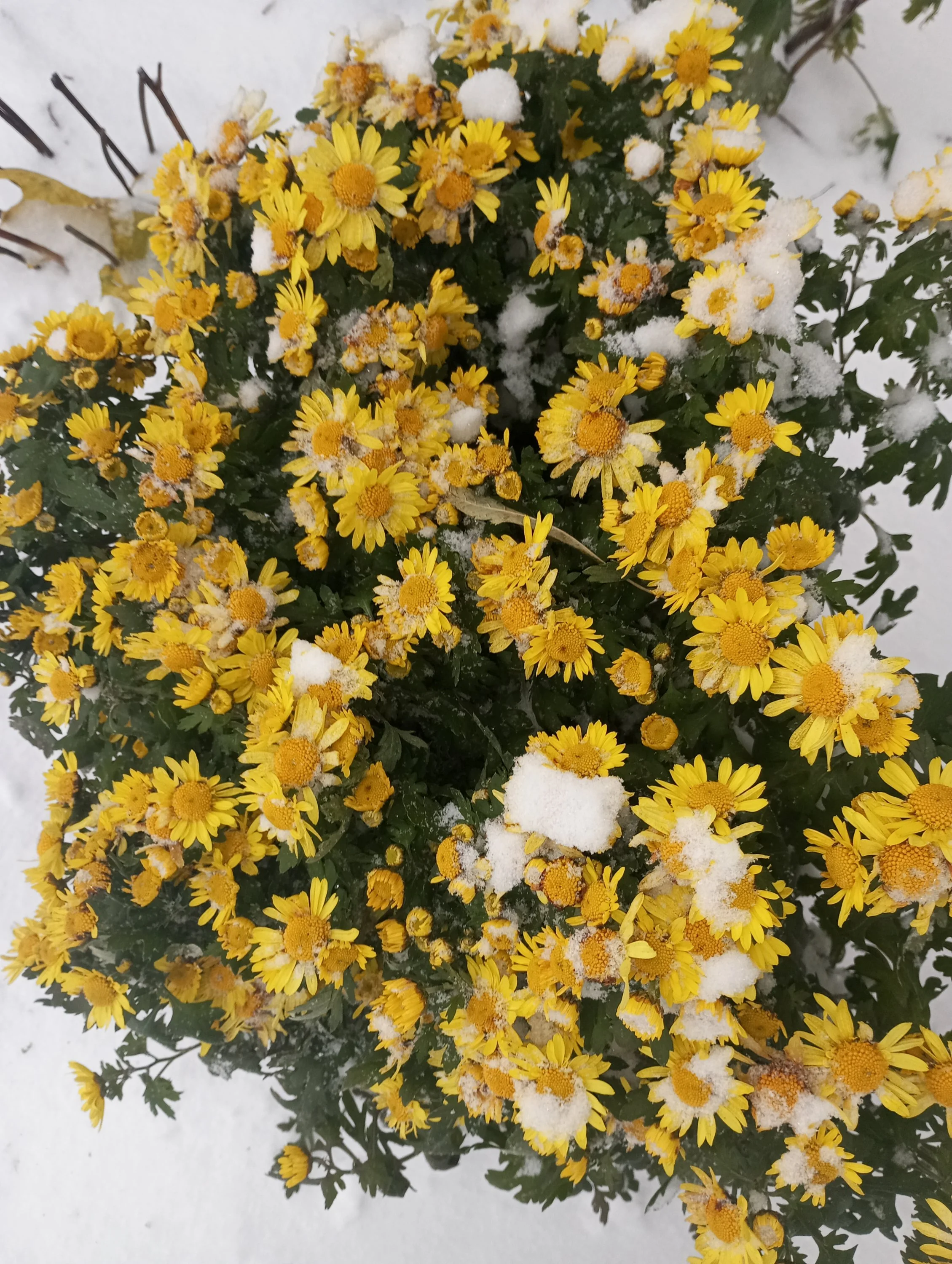 2023-10-26 14-48-44.webp