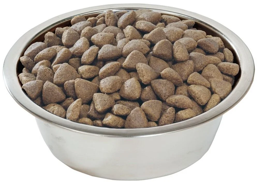 2023-11-06-16-47-20 (1).webp