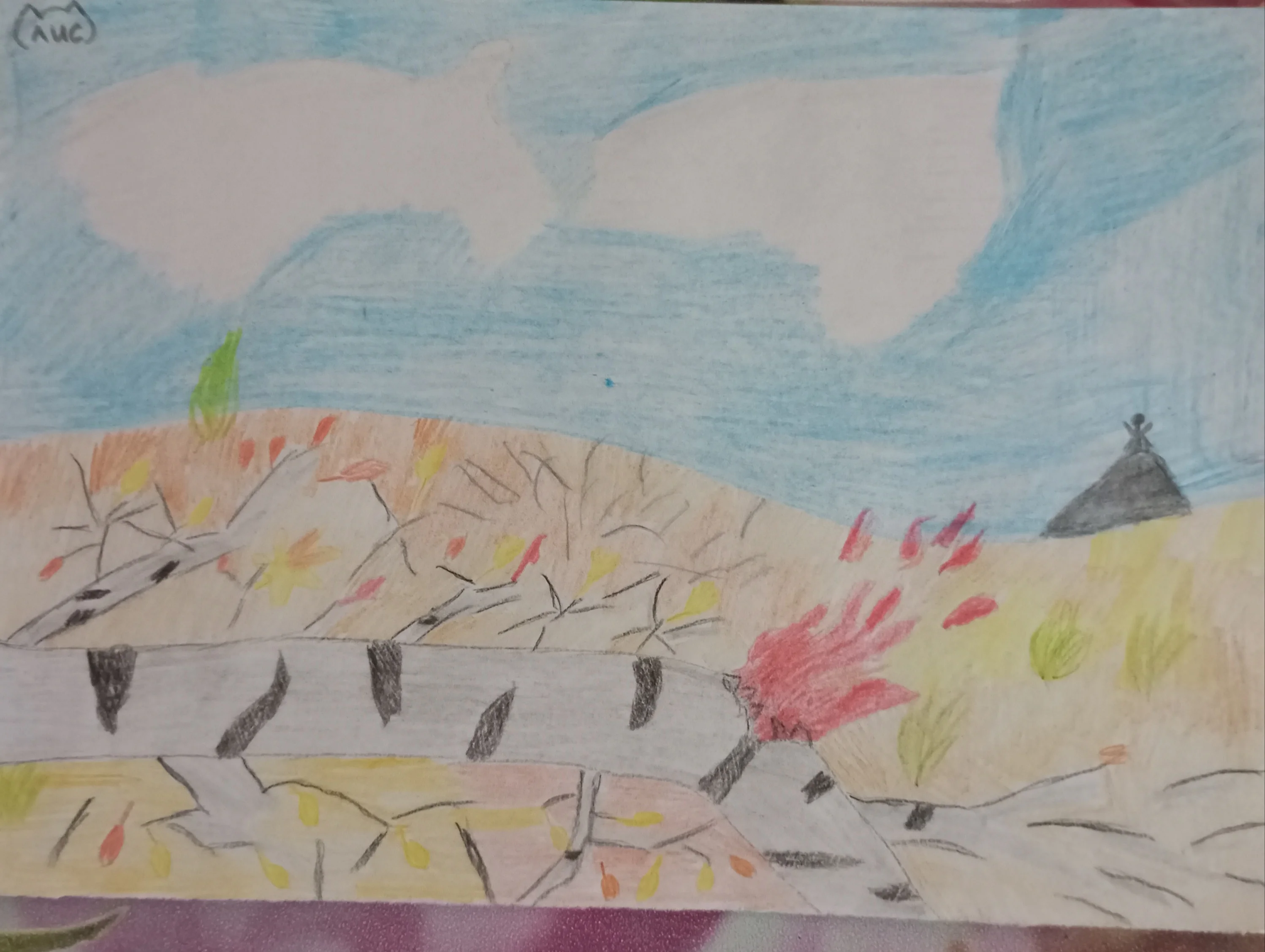 2023-11-26 20-10-22_1701018744.JPG