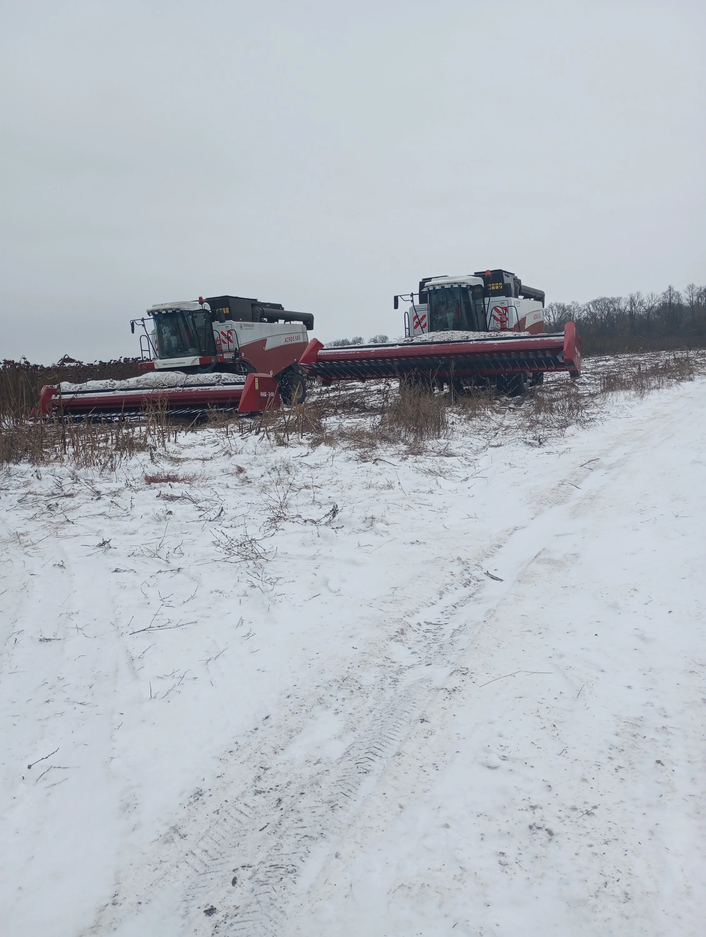 2023-11-29 10-04-59.webp