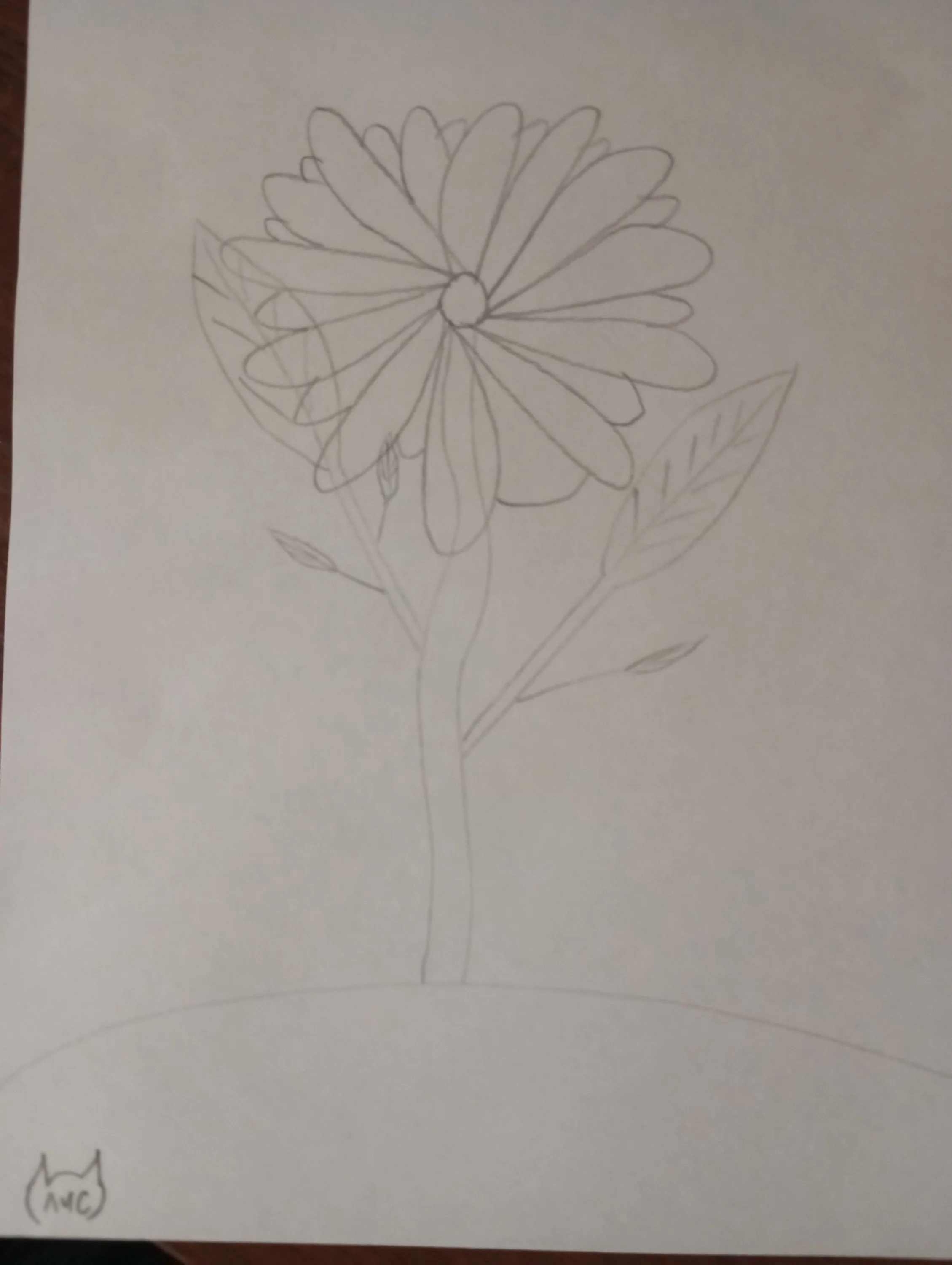 2023-12-04 19-42-01.webp