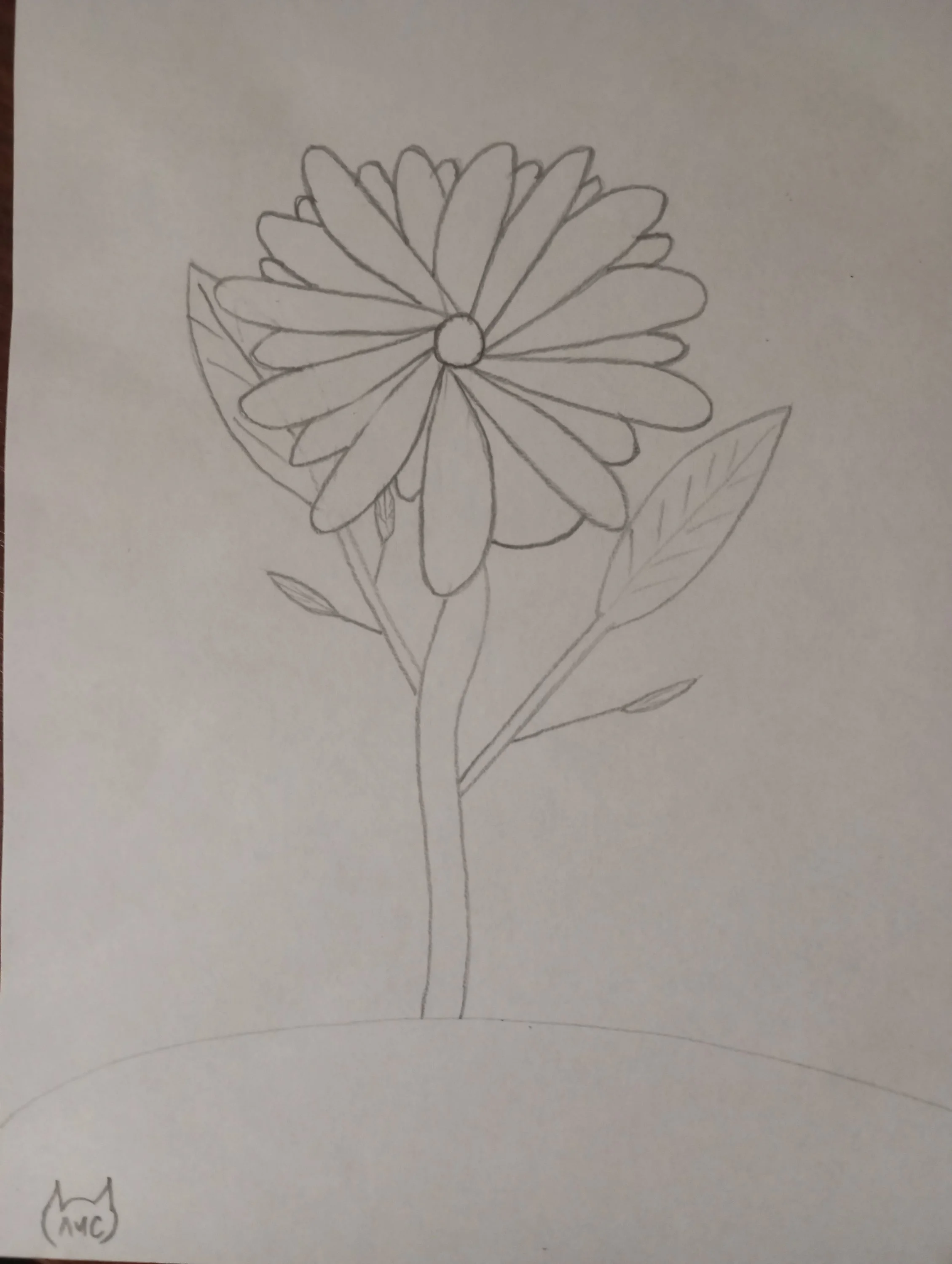 2023-12-04 19-45-37.webp