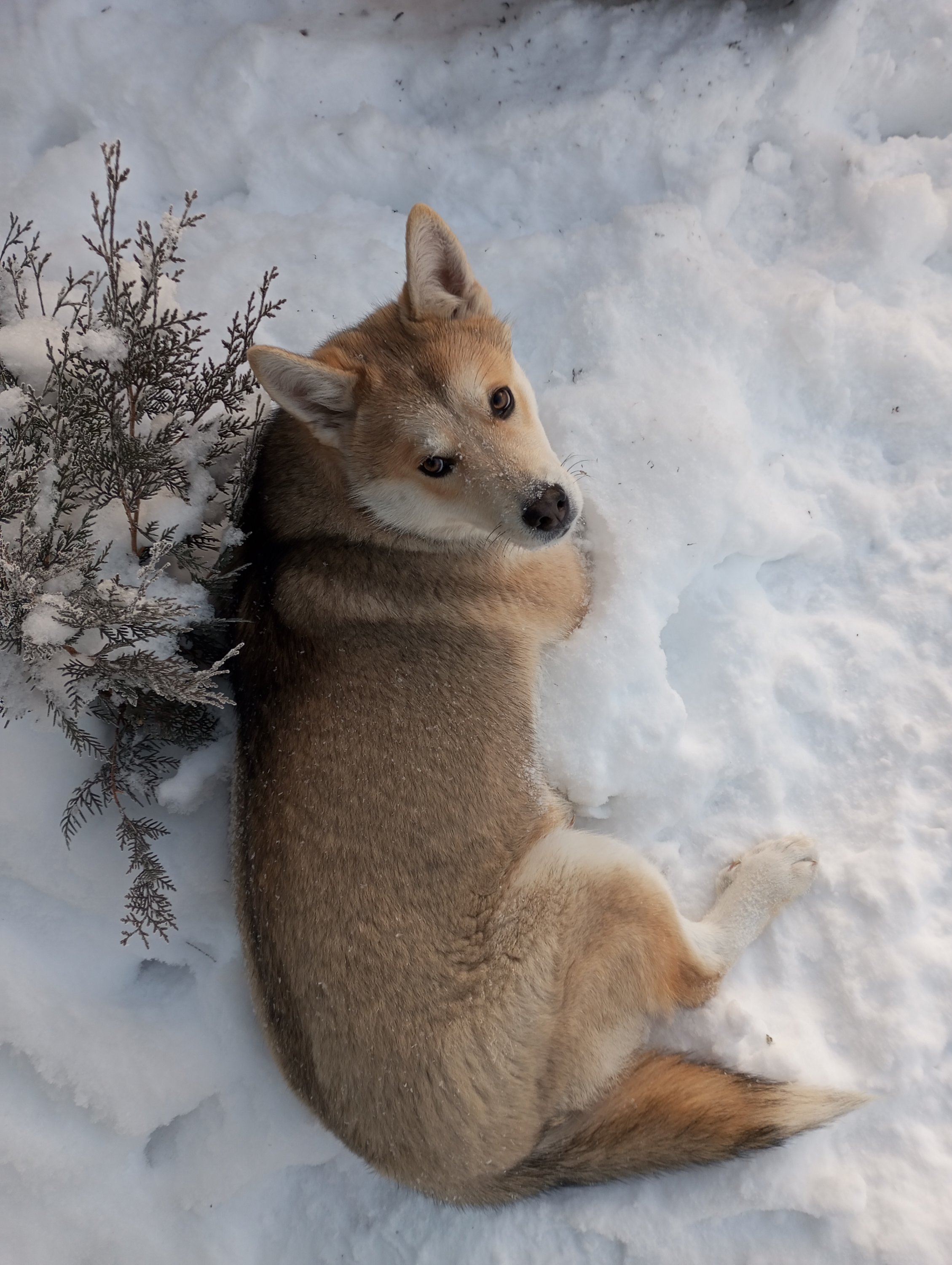 2023-12-07 09-16-09 (1).JPG