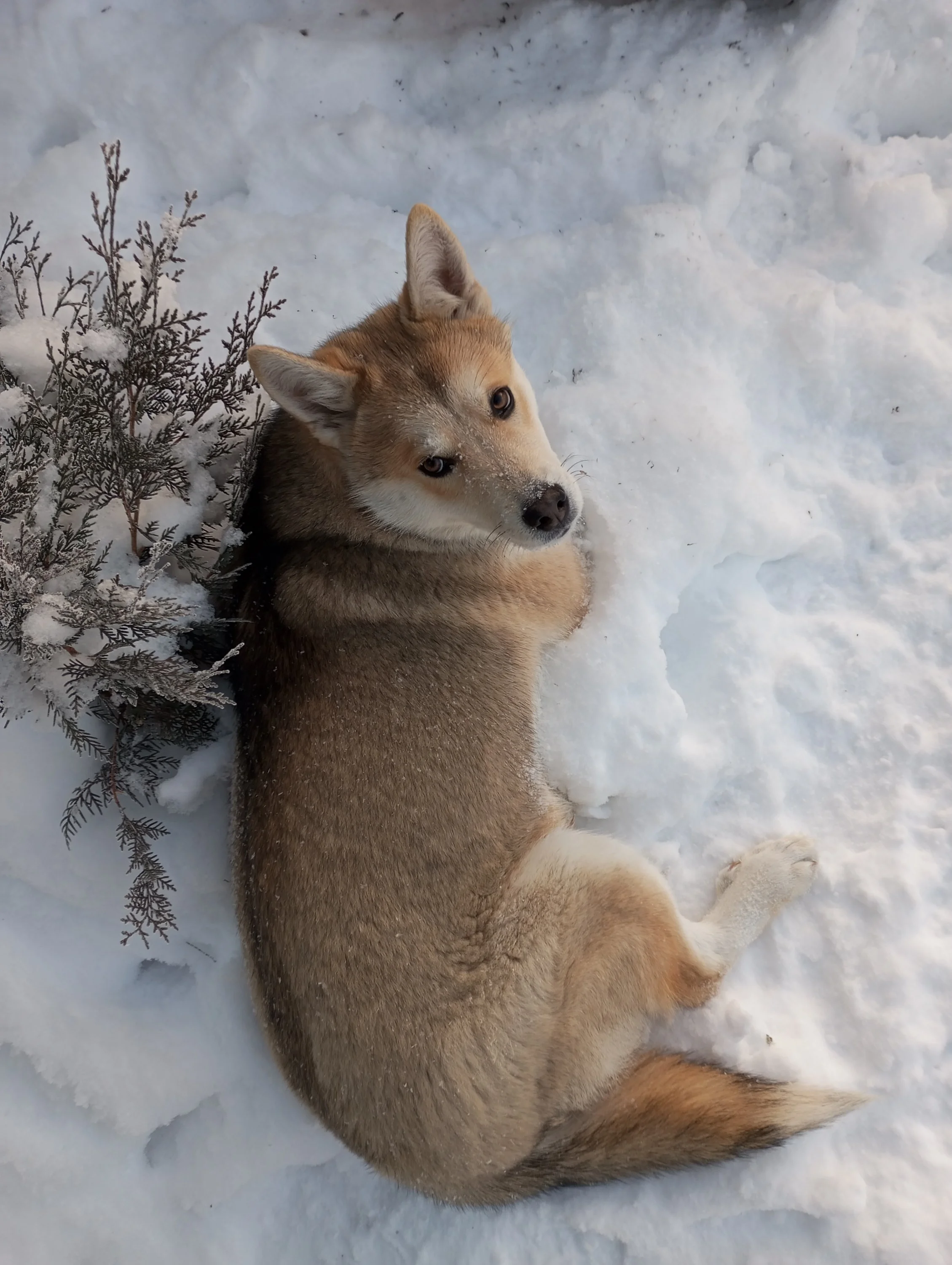 2023-12-07 09-16-09.webp