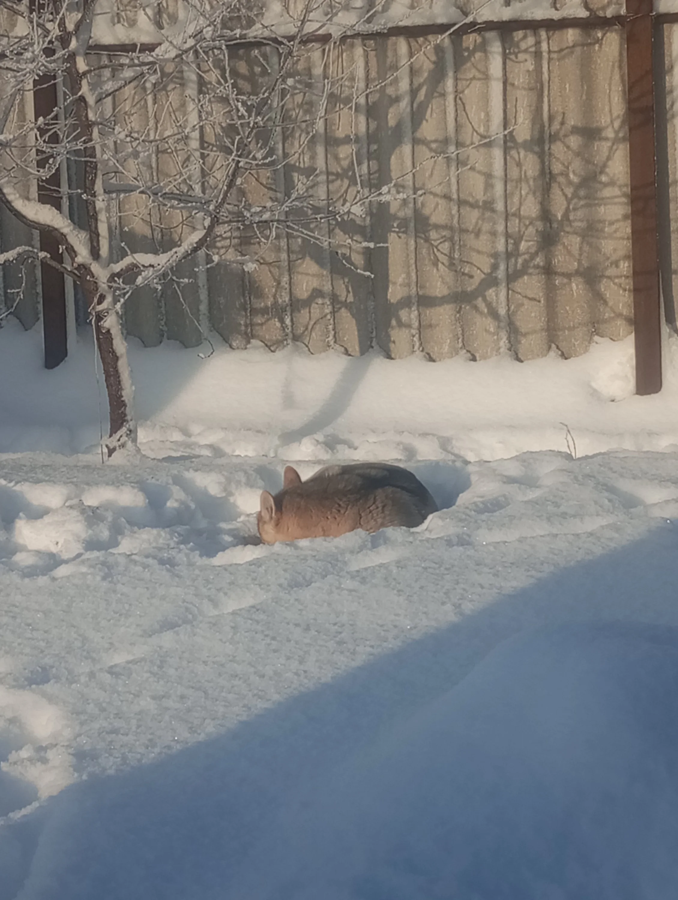 2023-12-07 10-43-42.webp