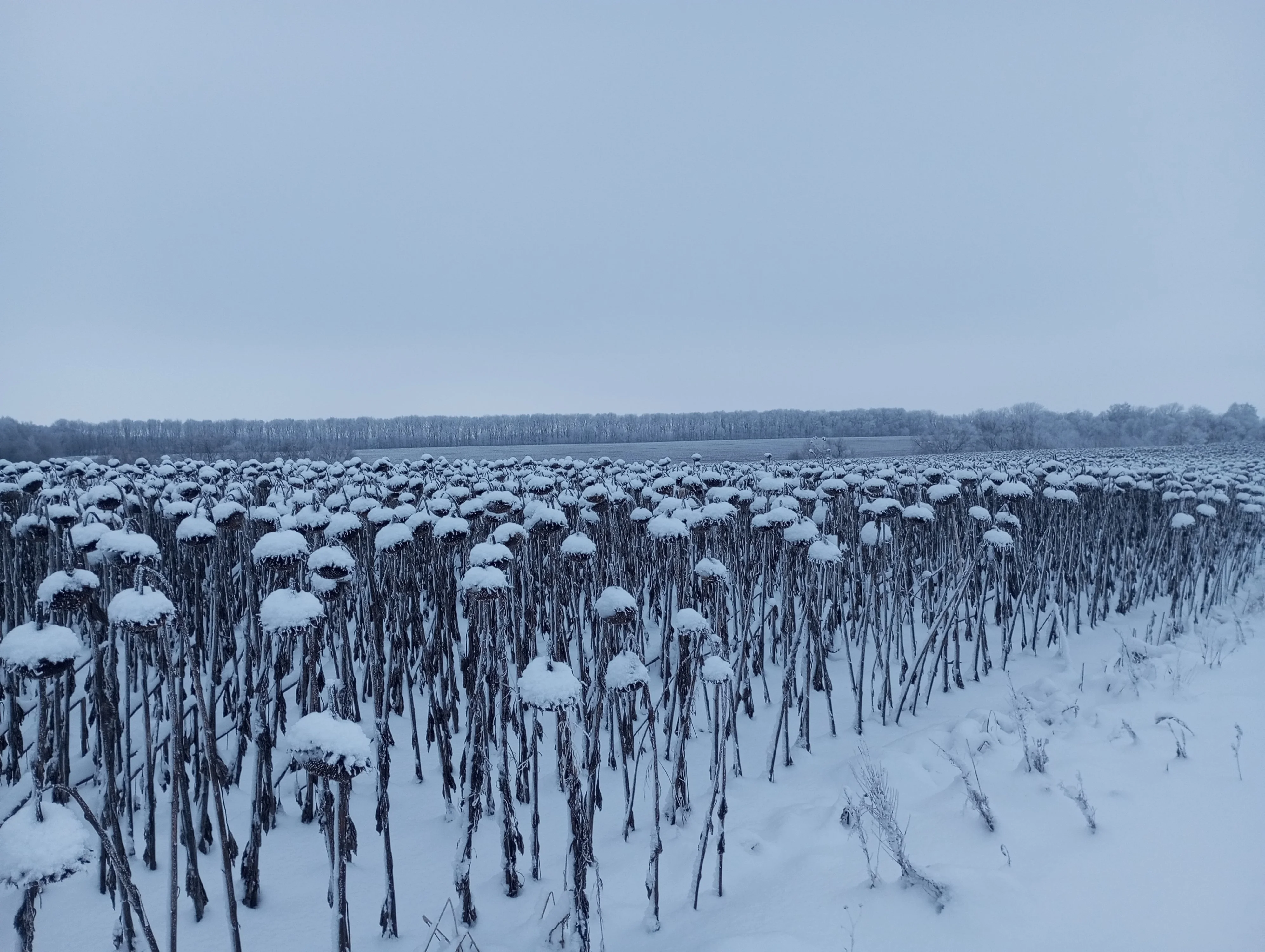 2023-12-08 16-14-36.webp