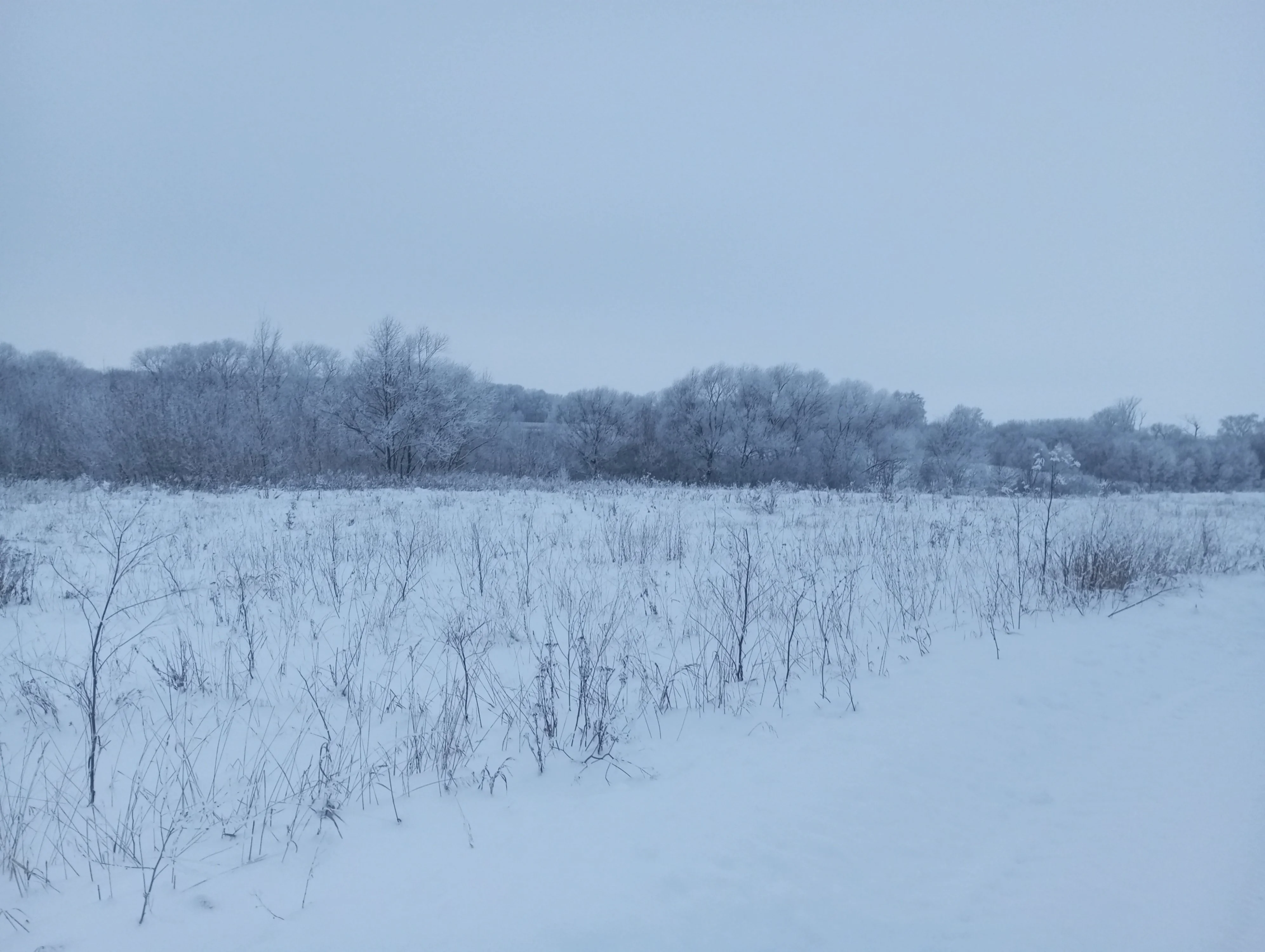 2023-12-08 16-18-11.webp