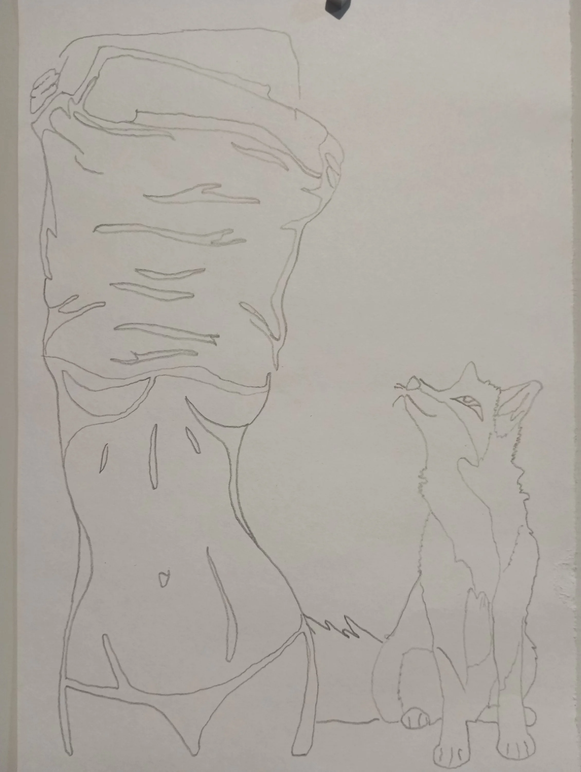 2023-12-08 20-47-45.webp