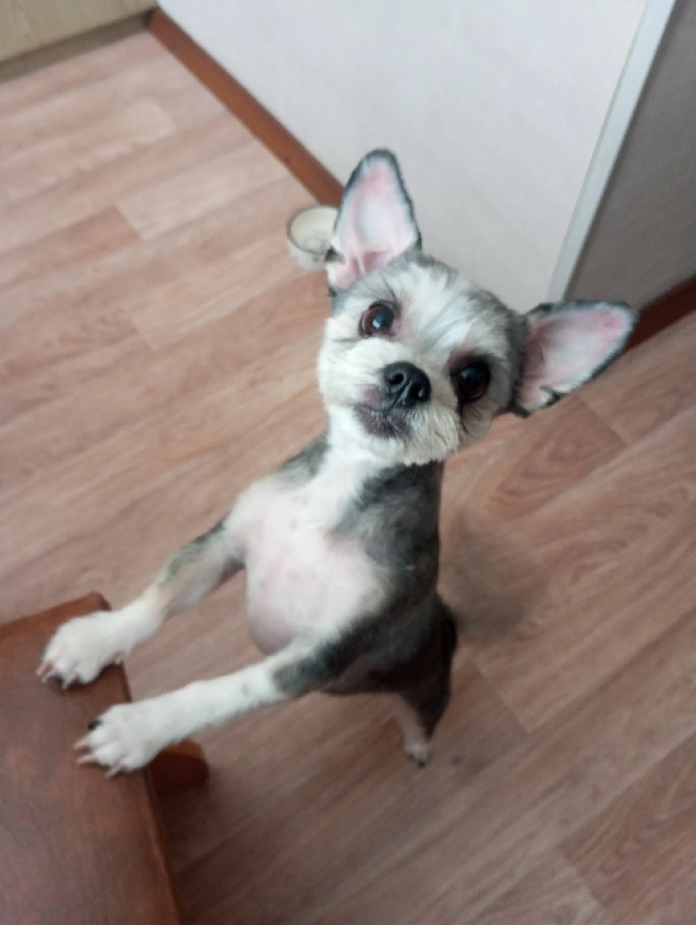 2023-12-10 12-02-43.webp