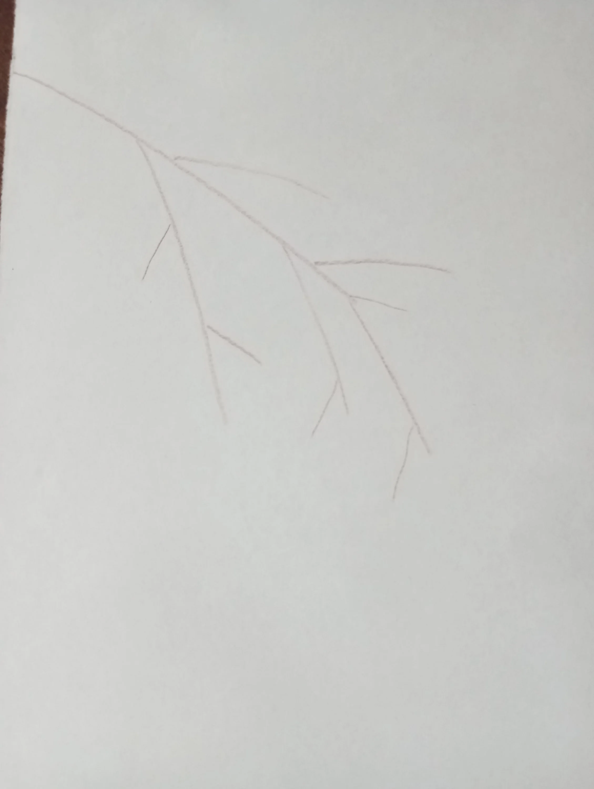 2023-12-13 22-39-28.webp