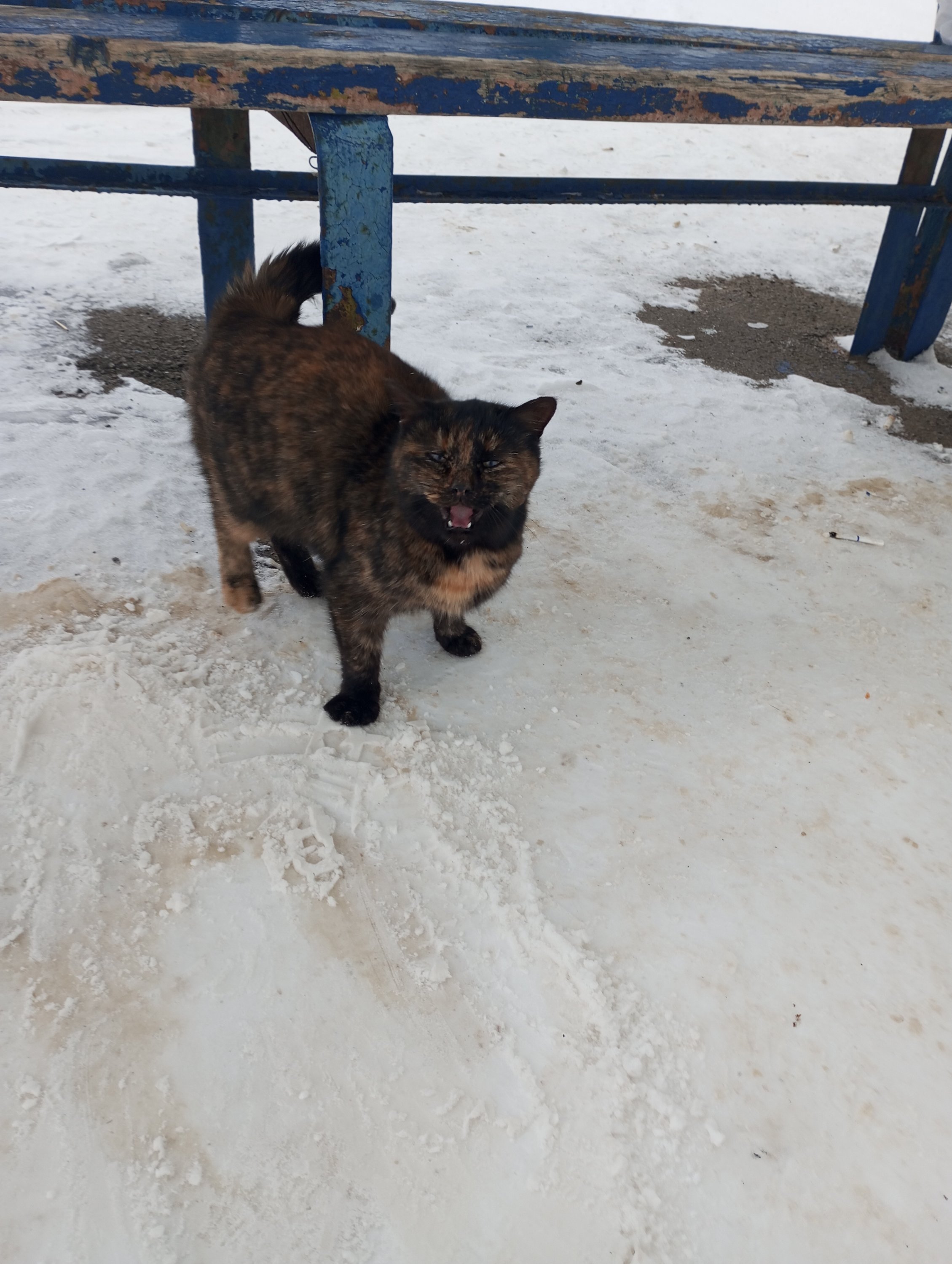 2023-12-14 11-53-49.JPG