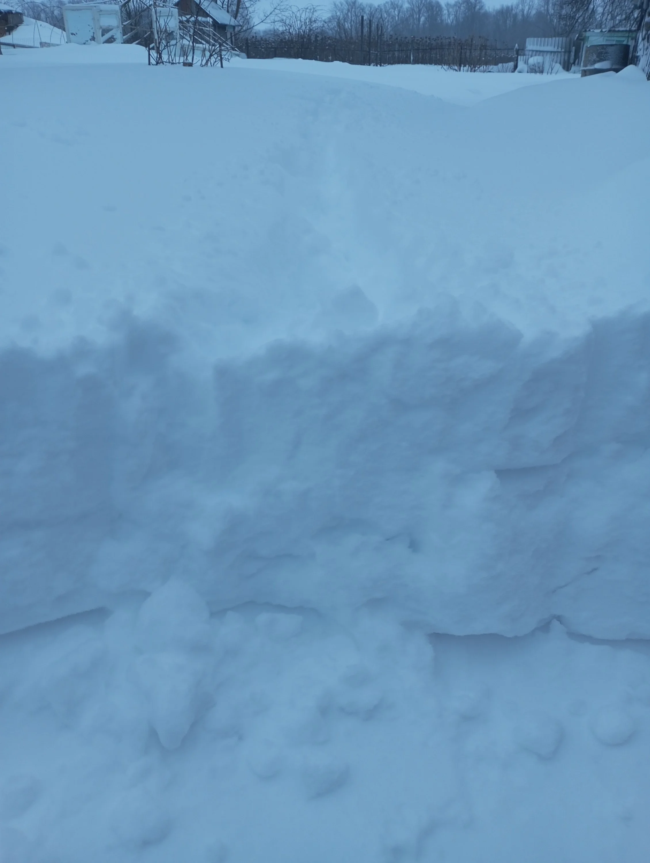 2023-12-15 09-43-24.webp