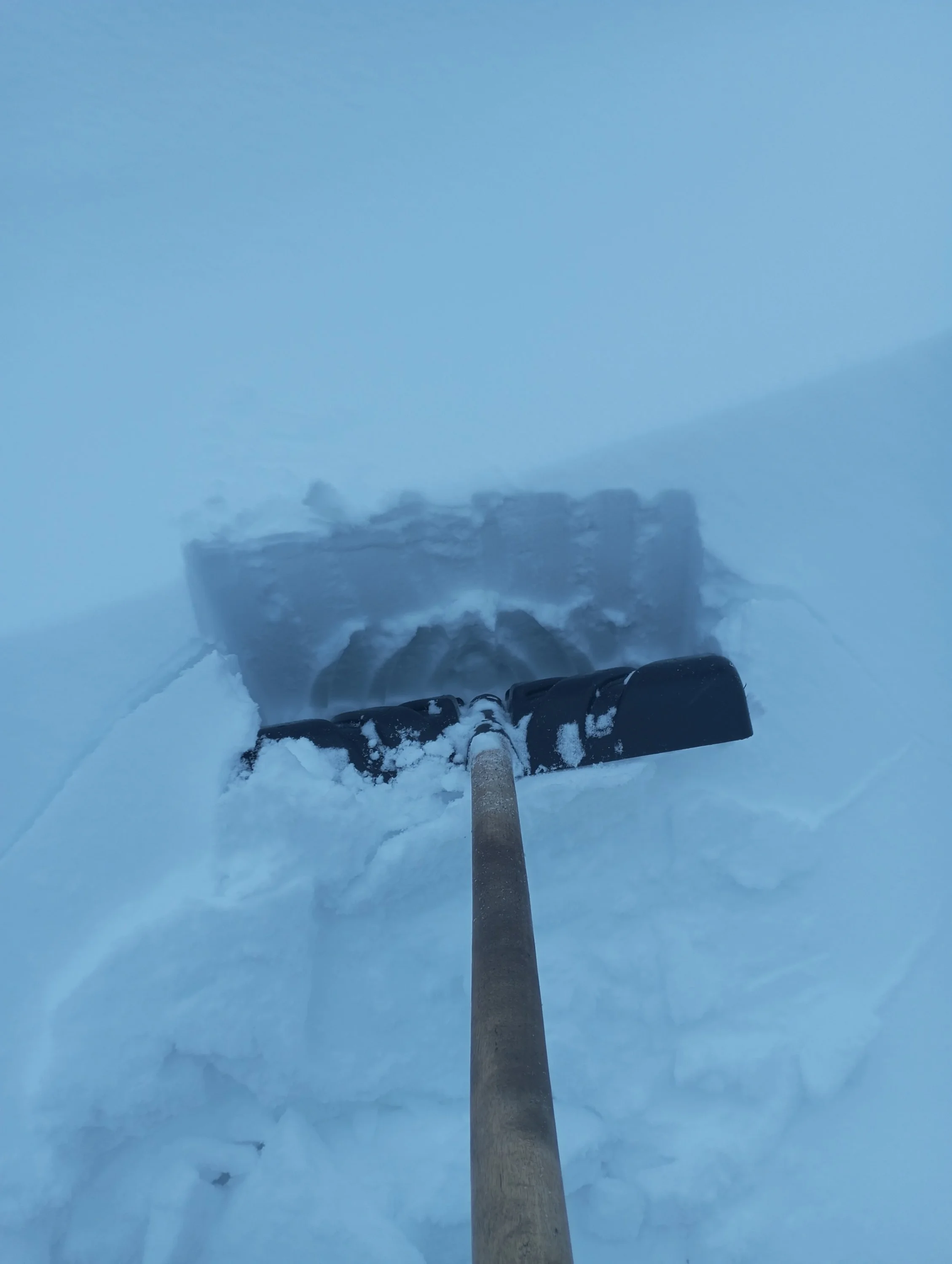 2023-12-15 09-48-30.webp