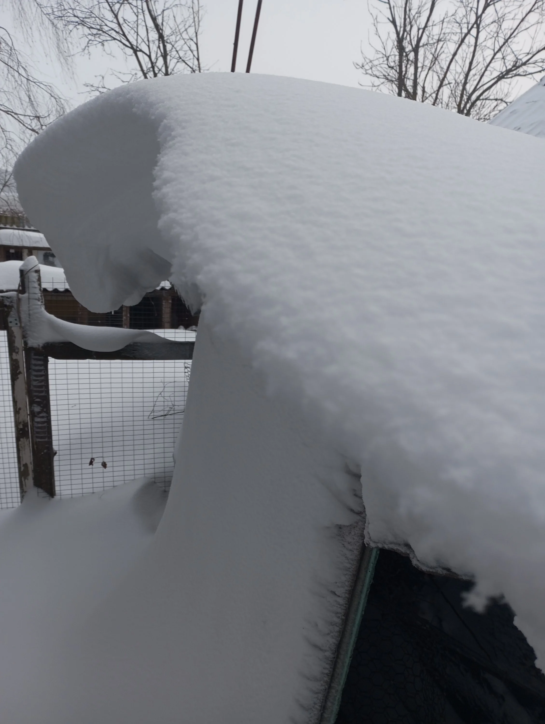 2023-12-15 10-07-24.webp