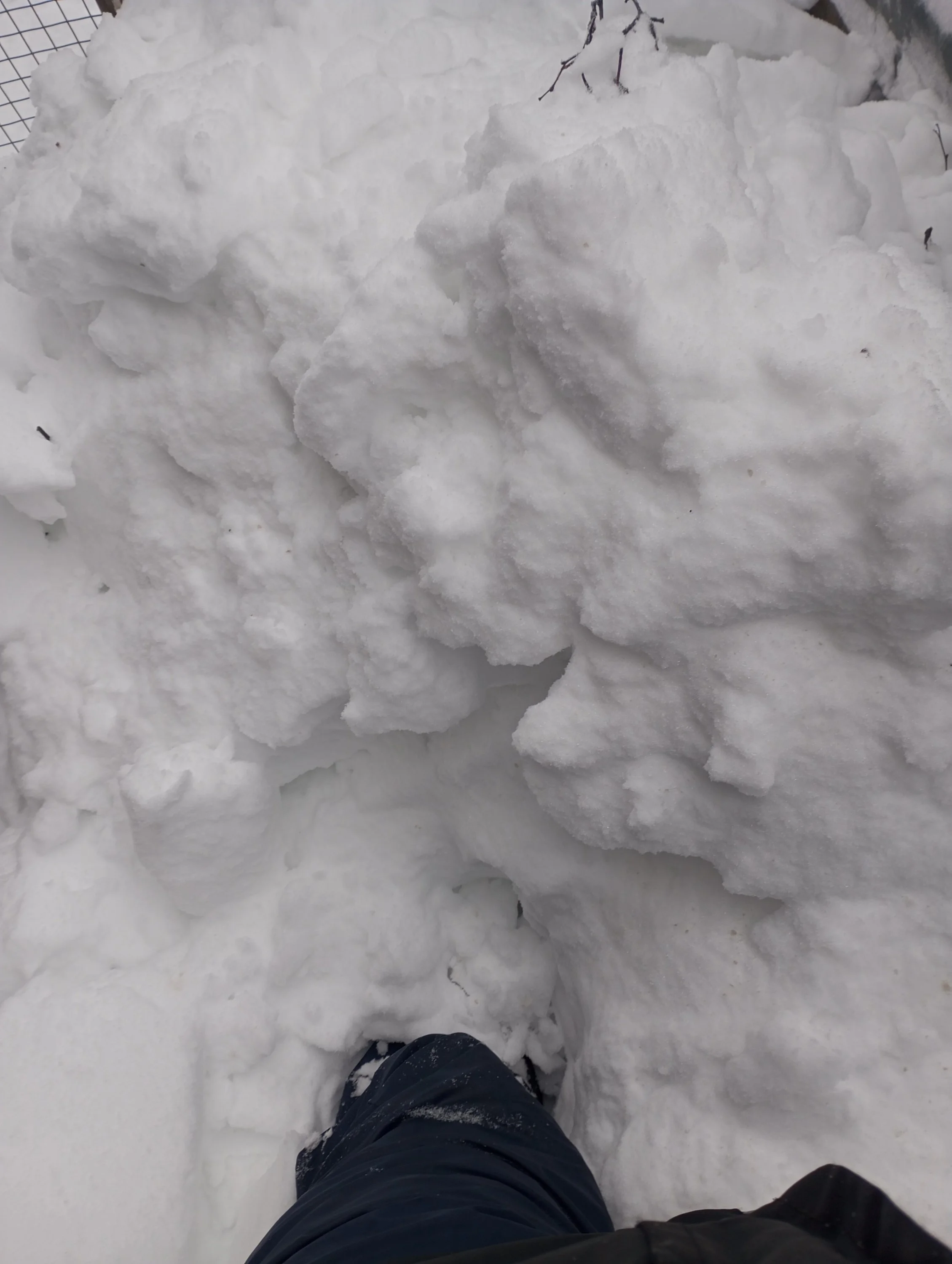 2023-12-15 10-11-19.webp