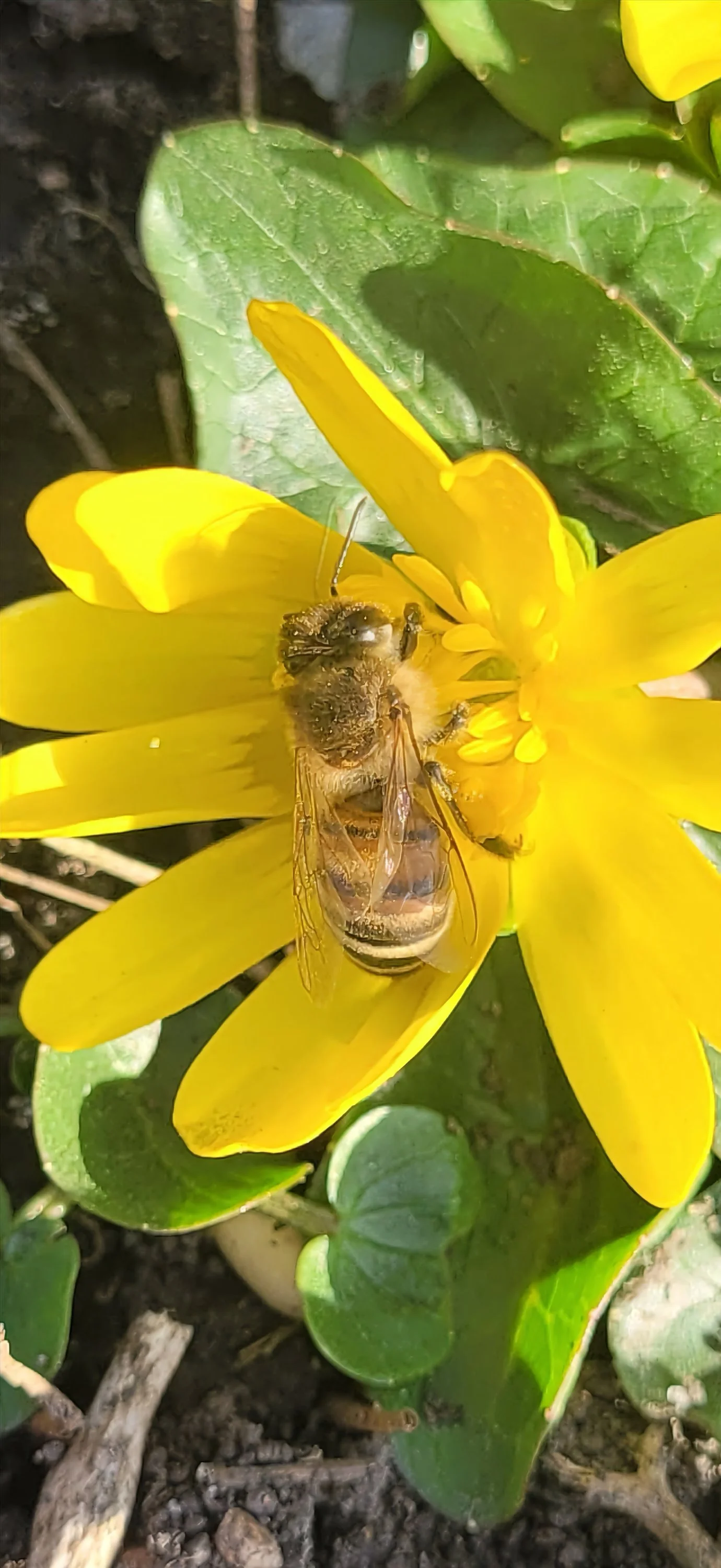 20230303_150633_resized (1).jpg