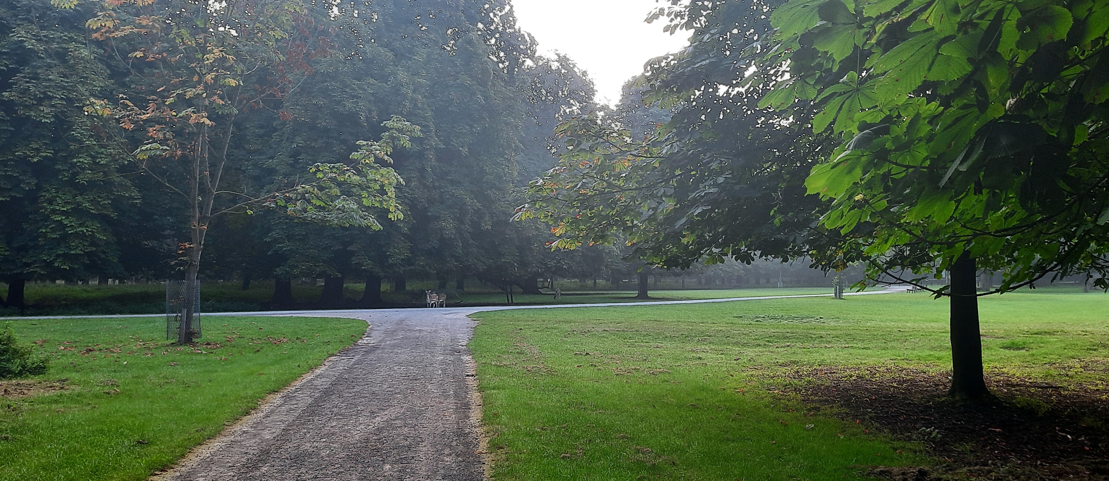 20230910_074150.jpg