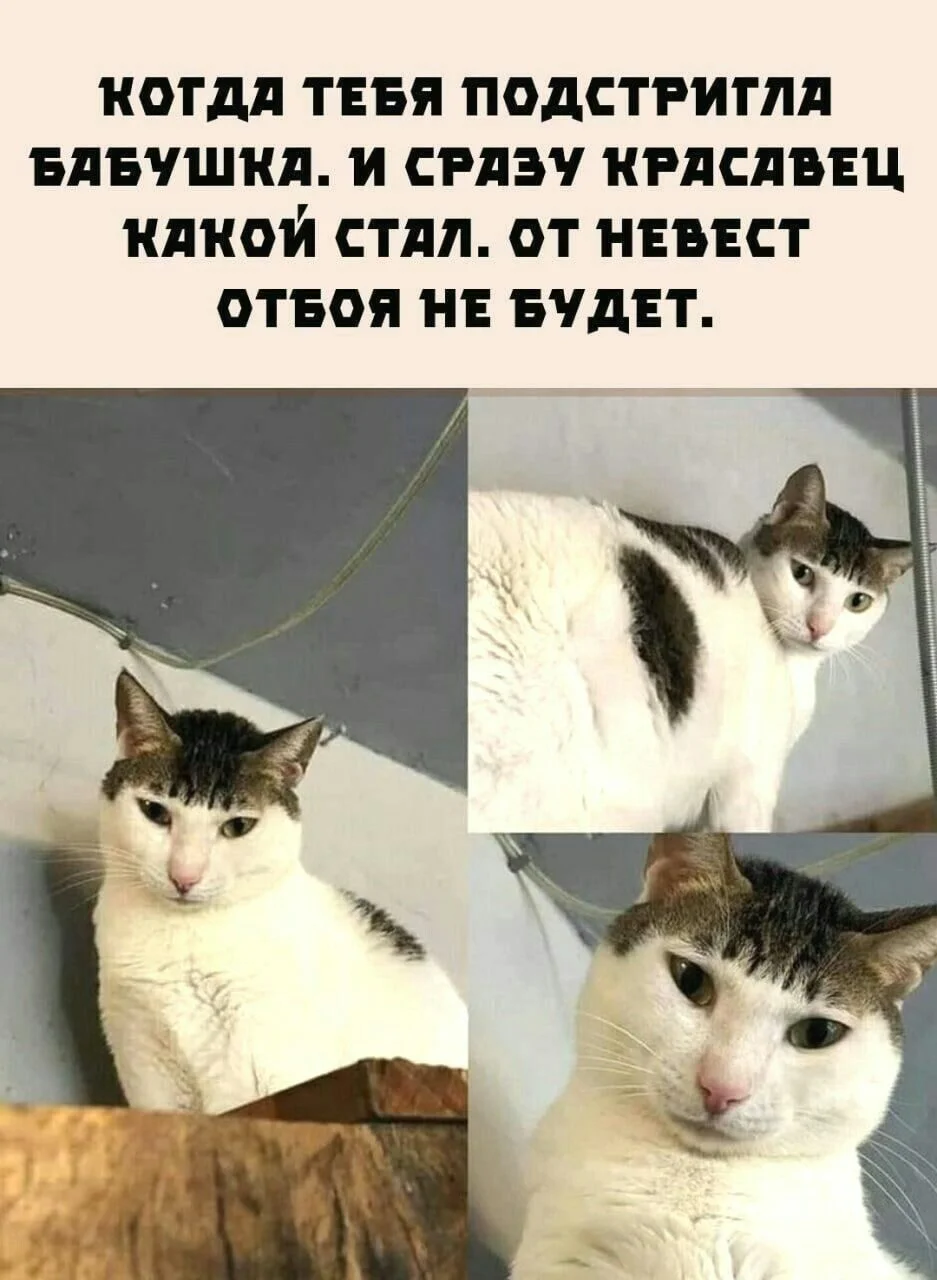 2023e85c2470dd2dbb5d8ab3462e22e5[1].webp