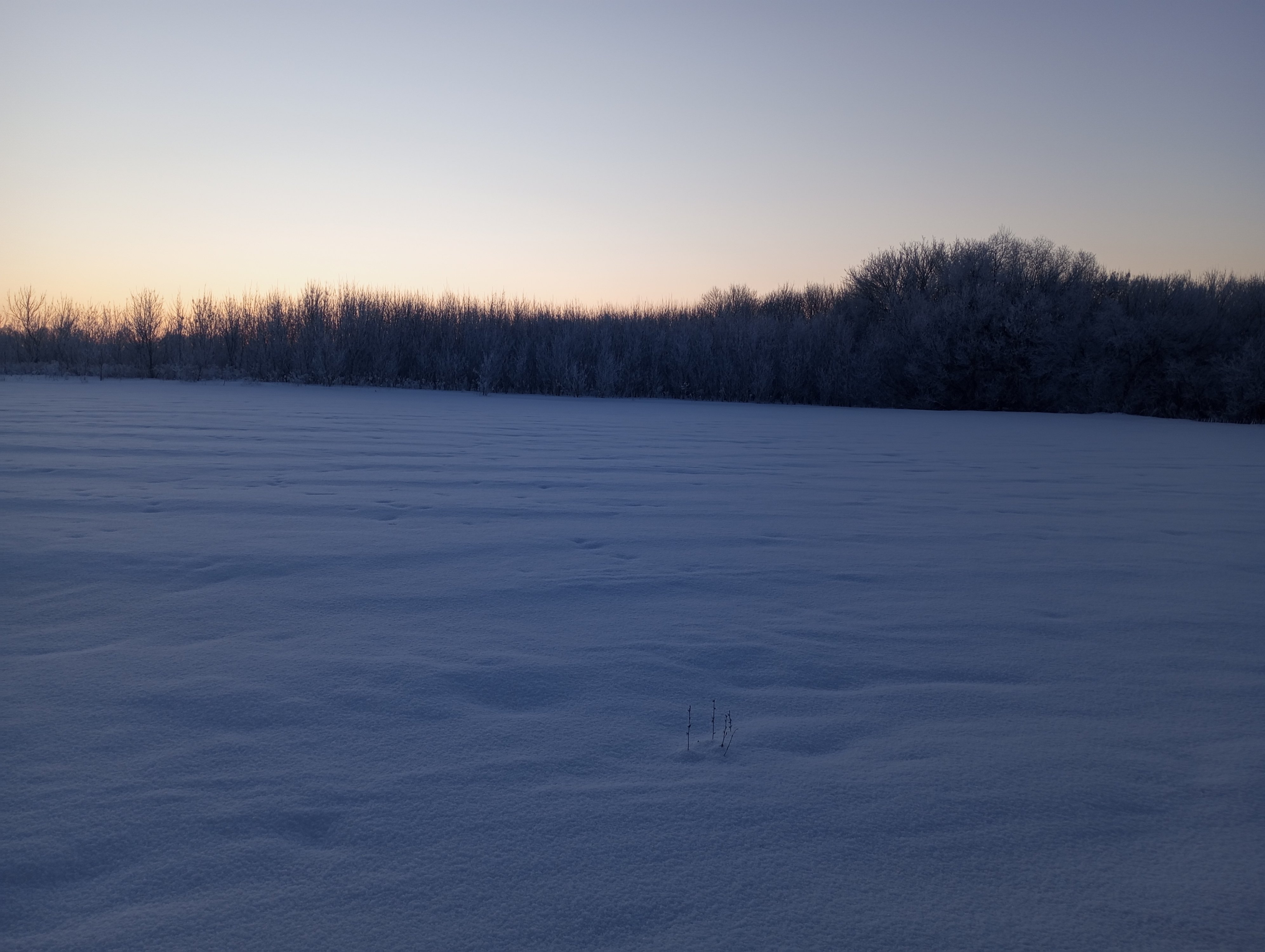 2024-01-22 08-33-32.JPG