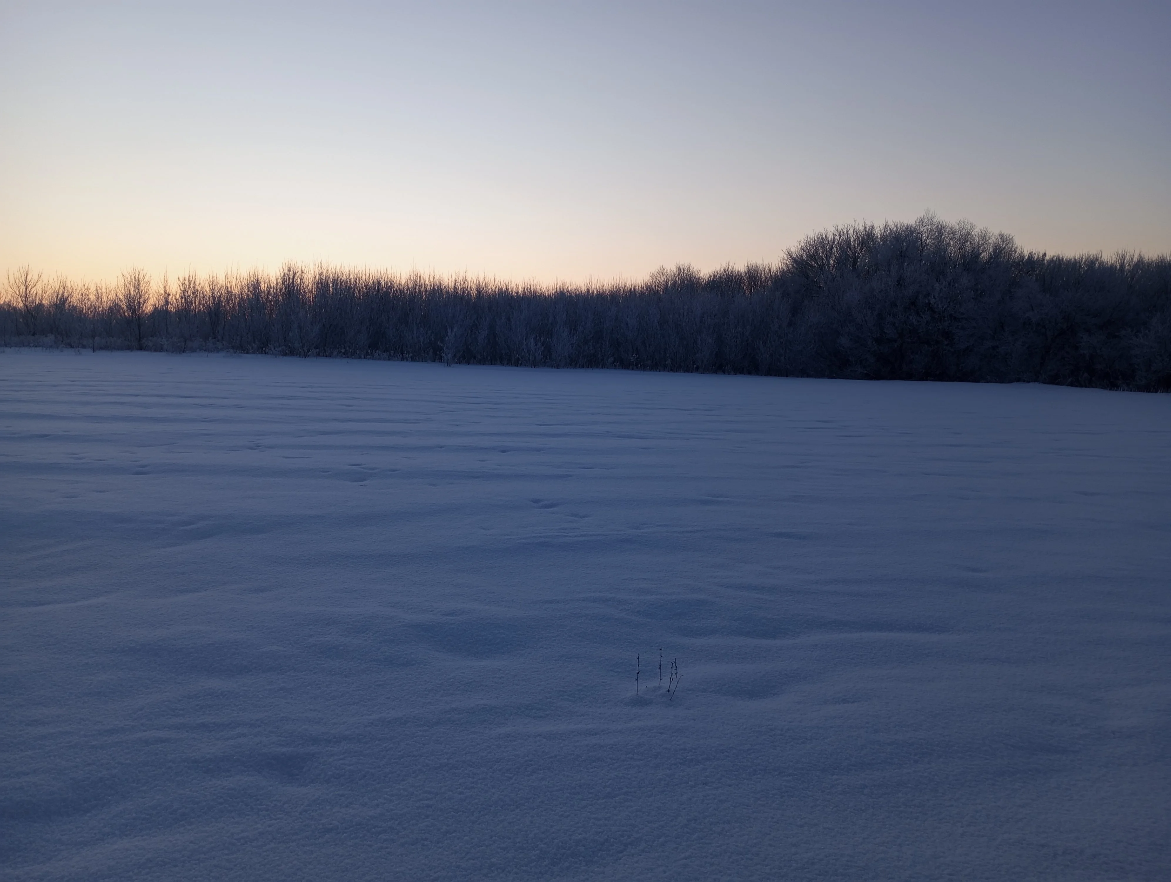 2024-01-22 08-33-32.webp