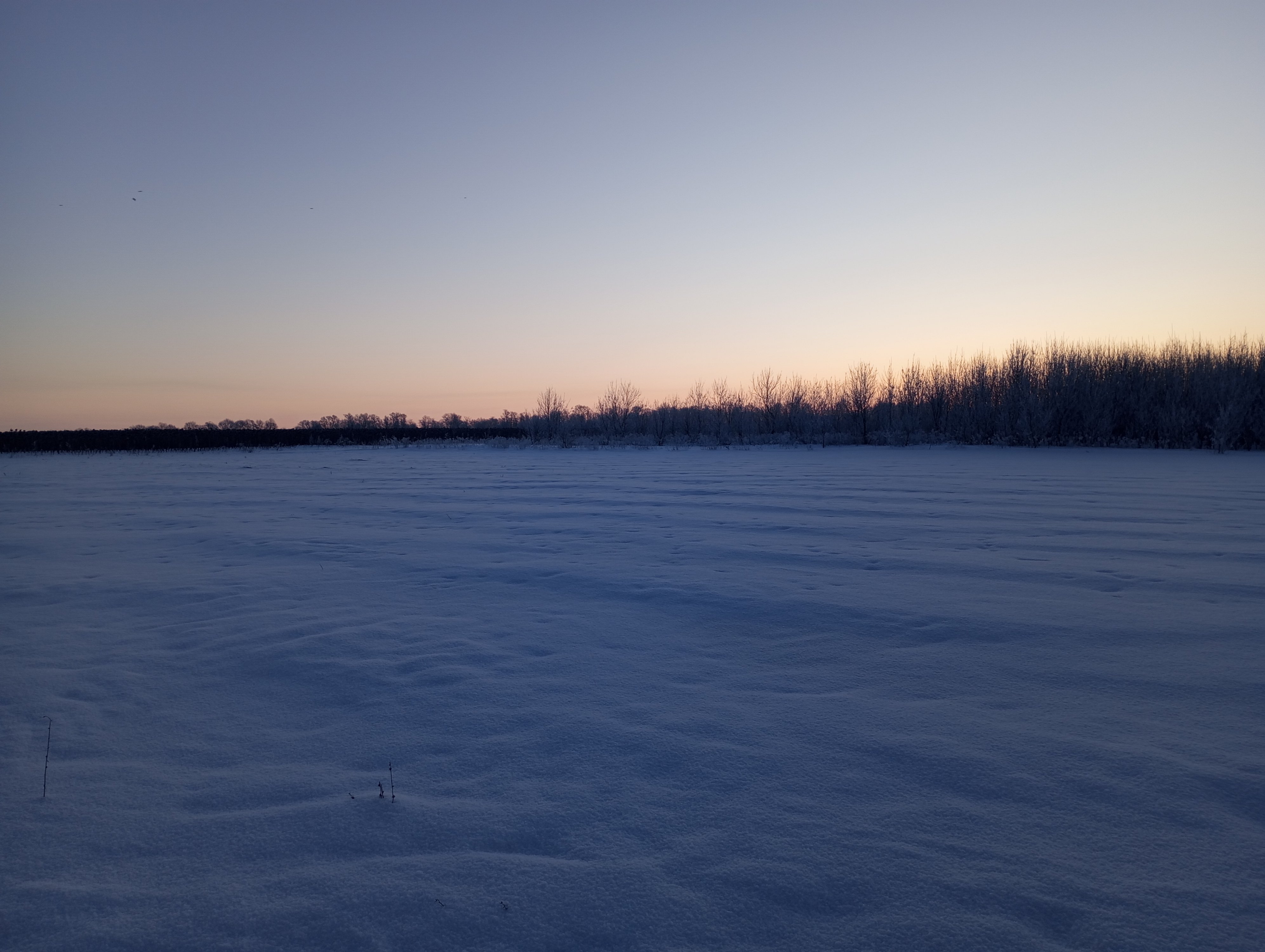 2024-01-22 08-33-37.JPG