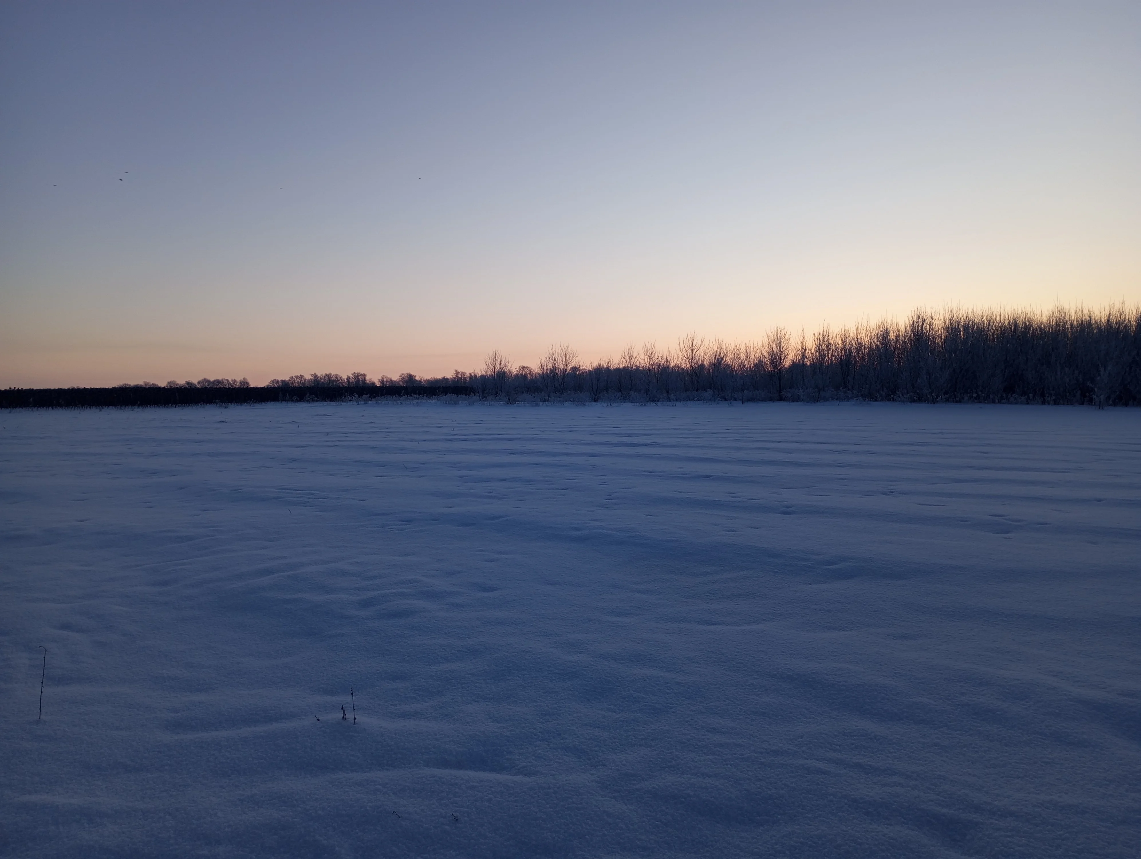 2024-01-22 08-33-37.webp