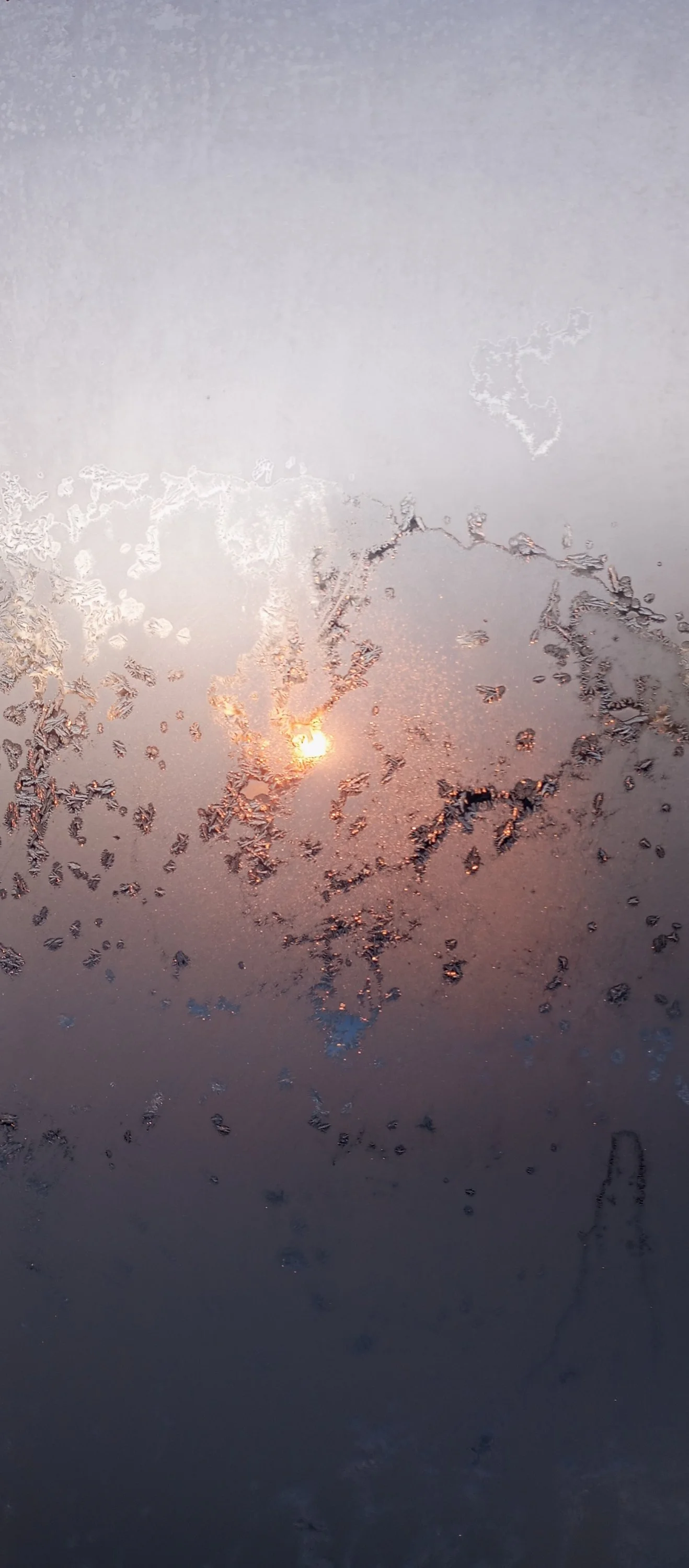 2024-01-22 08-47-36.webp