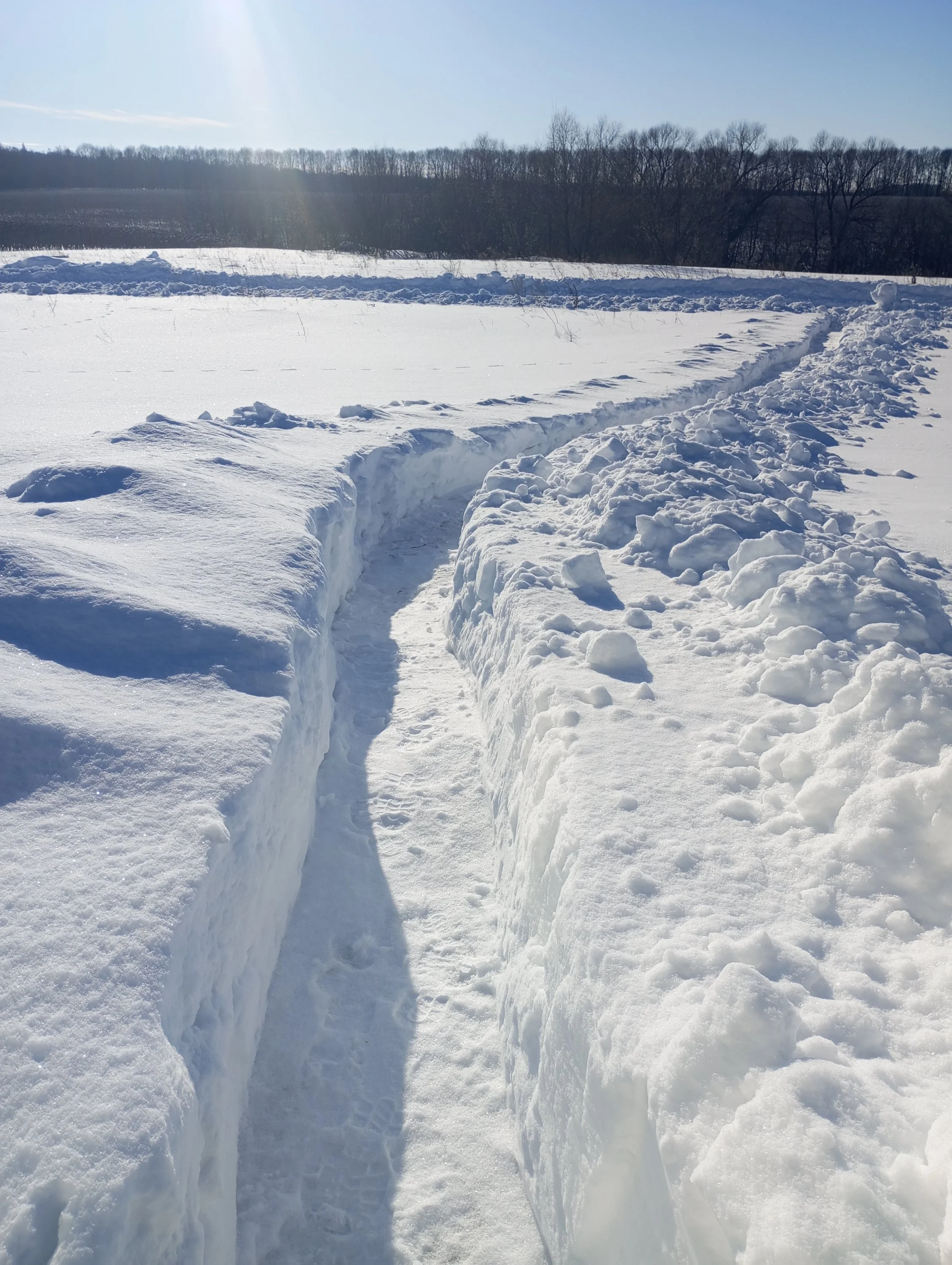 2024-02-09 13-24-30.webp