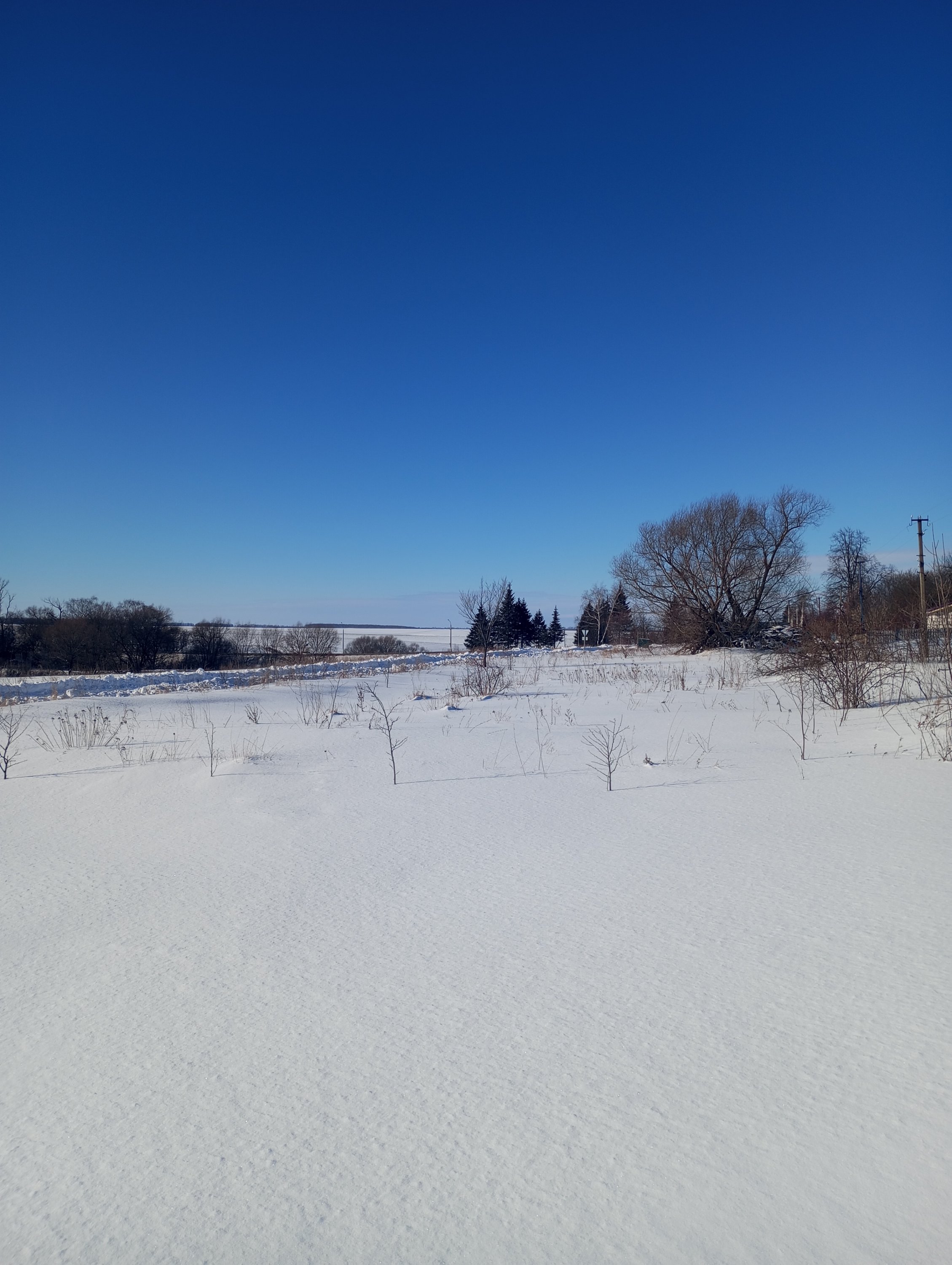 2024-02-09 13-24-40.JPG