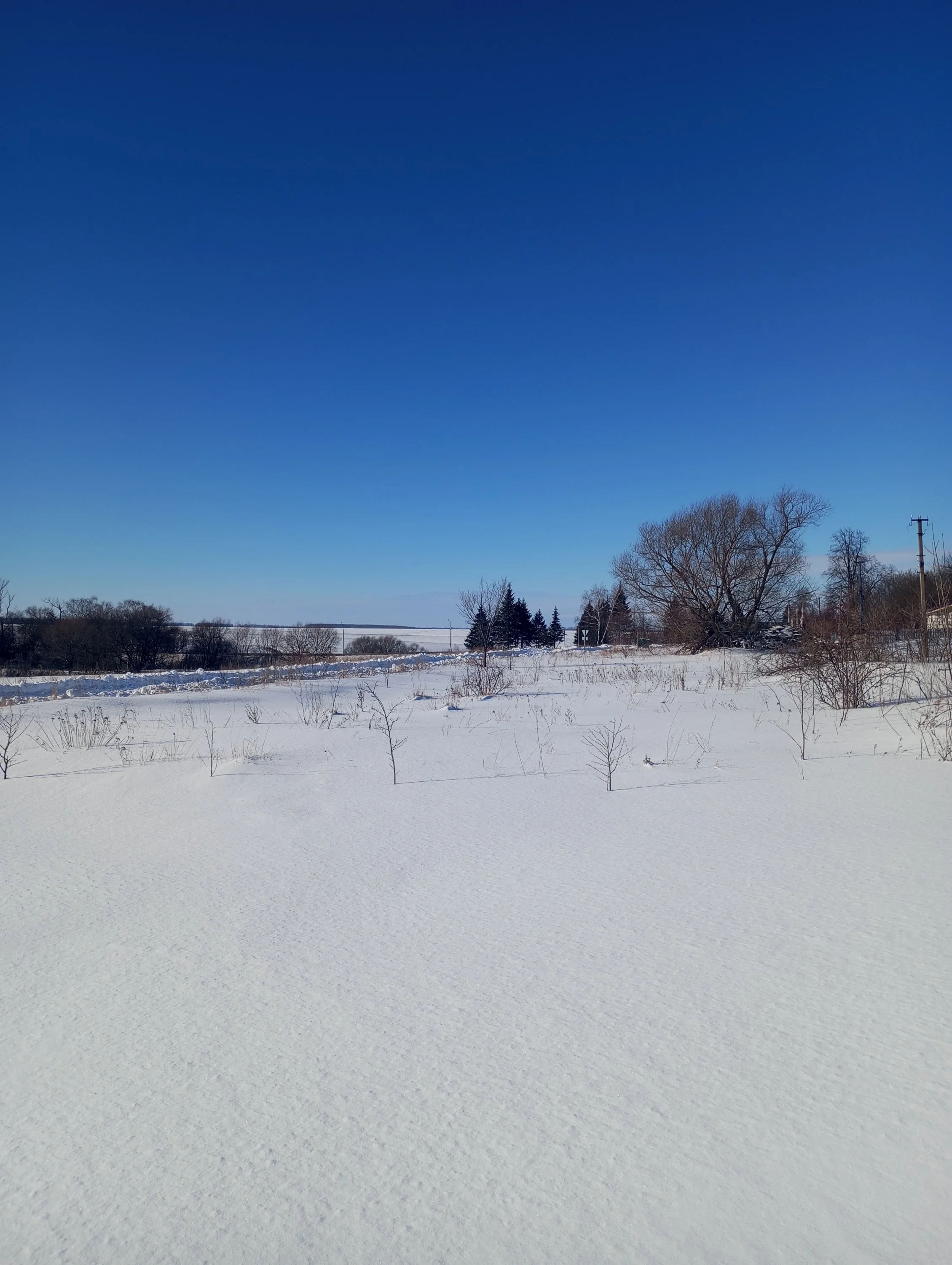 2024-02-09 13-24-40.webp