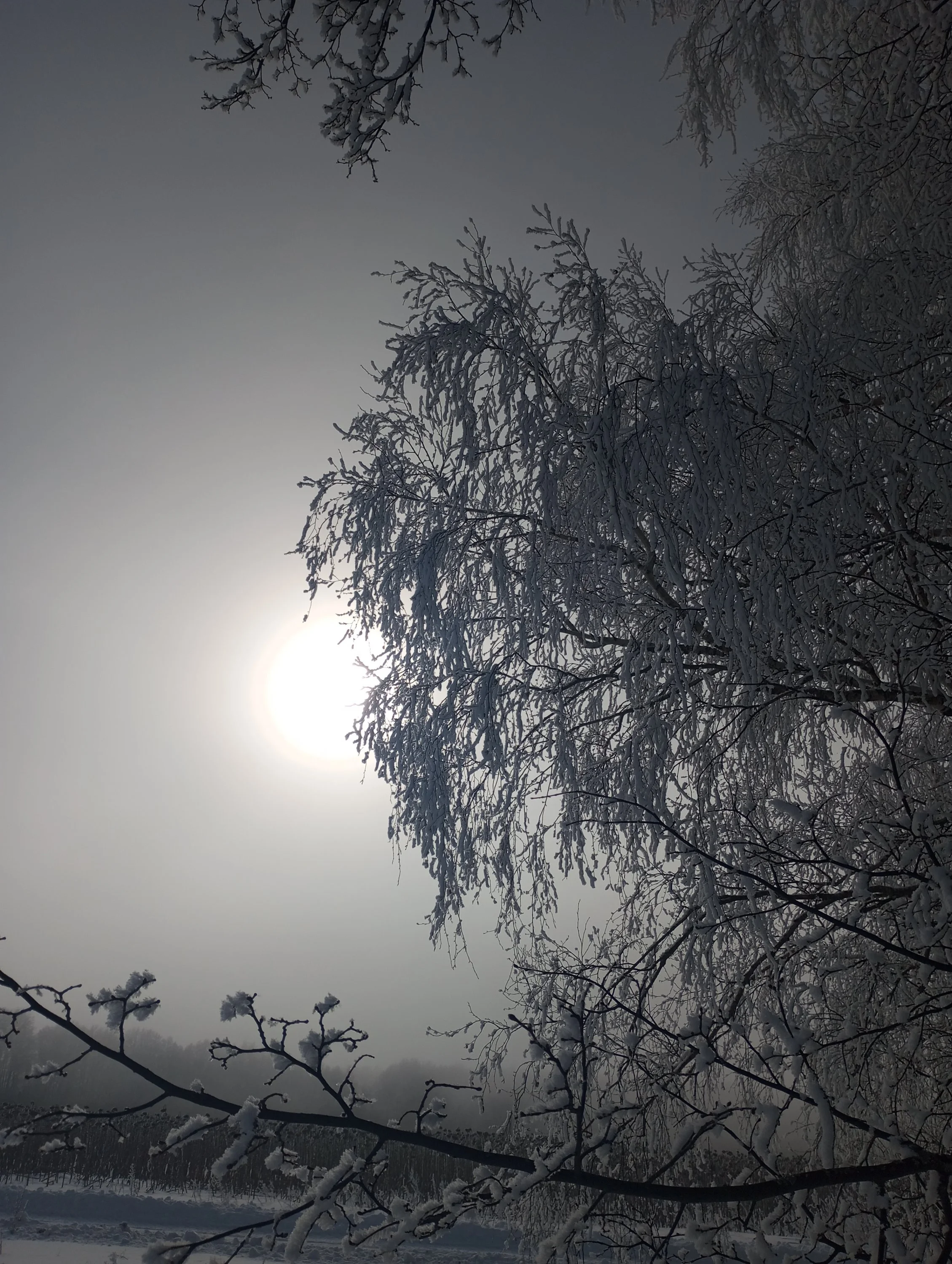 2024-02-10 11-50-02.webp