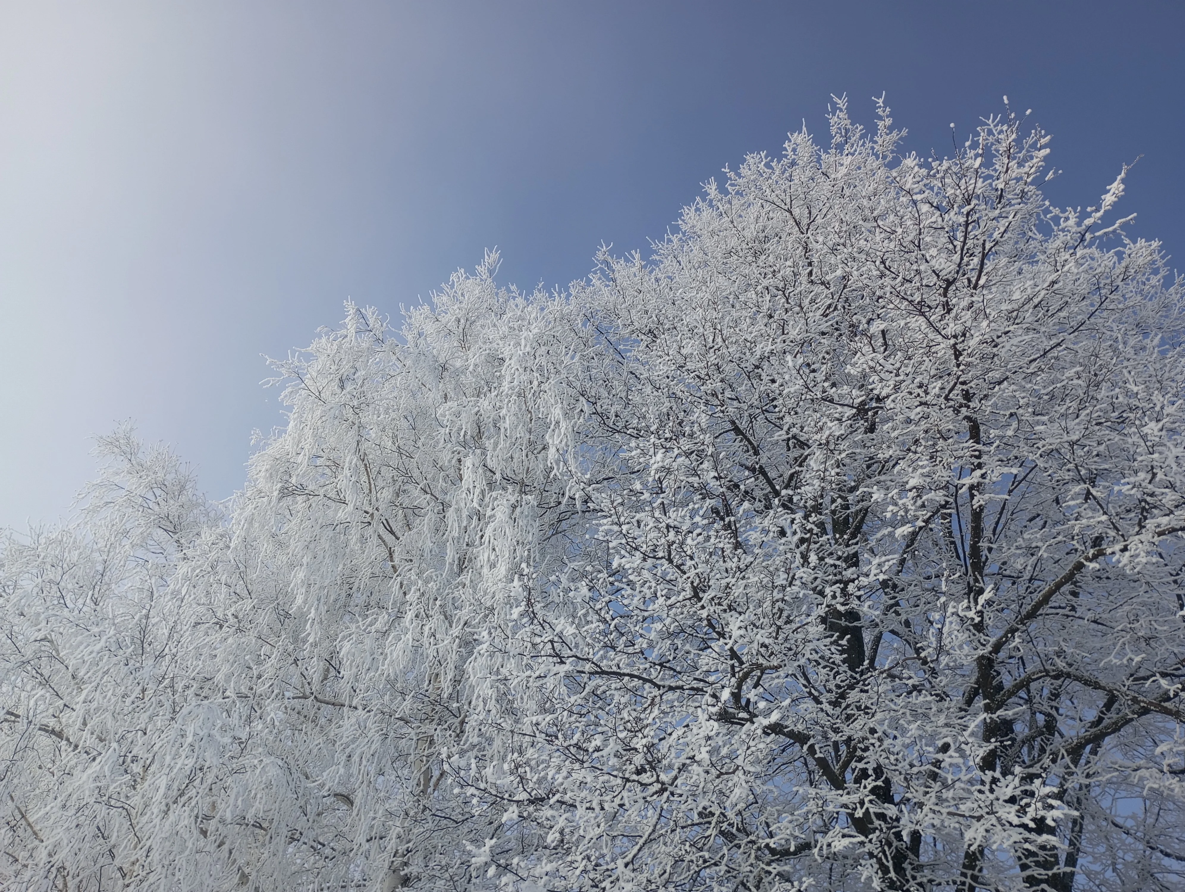 2024-02-10 11-50-21.webp