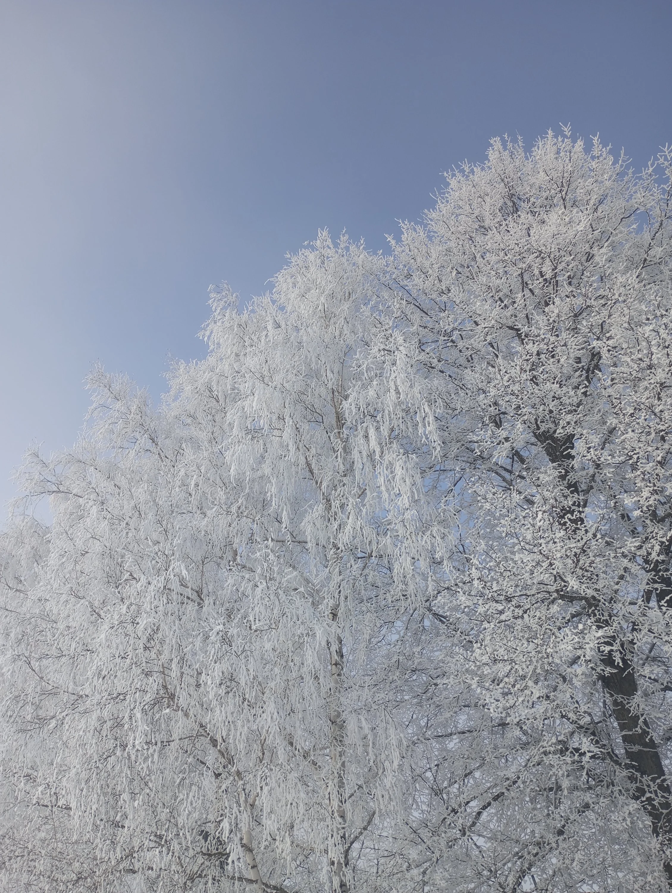 2024-02-10 11-50-38.webp