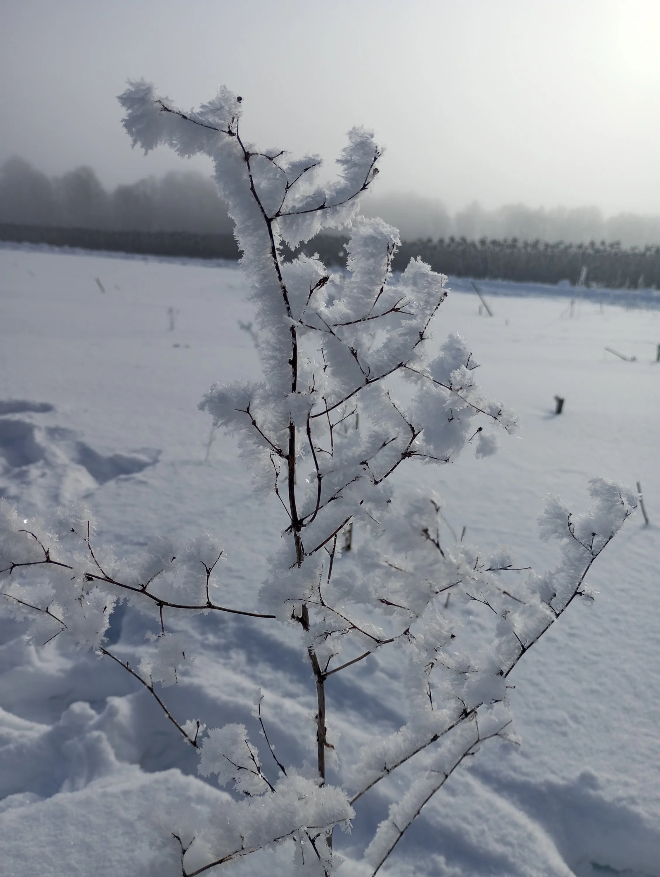 2024-02-10 11-51-05.webp