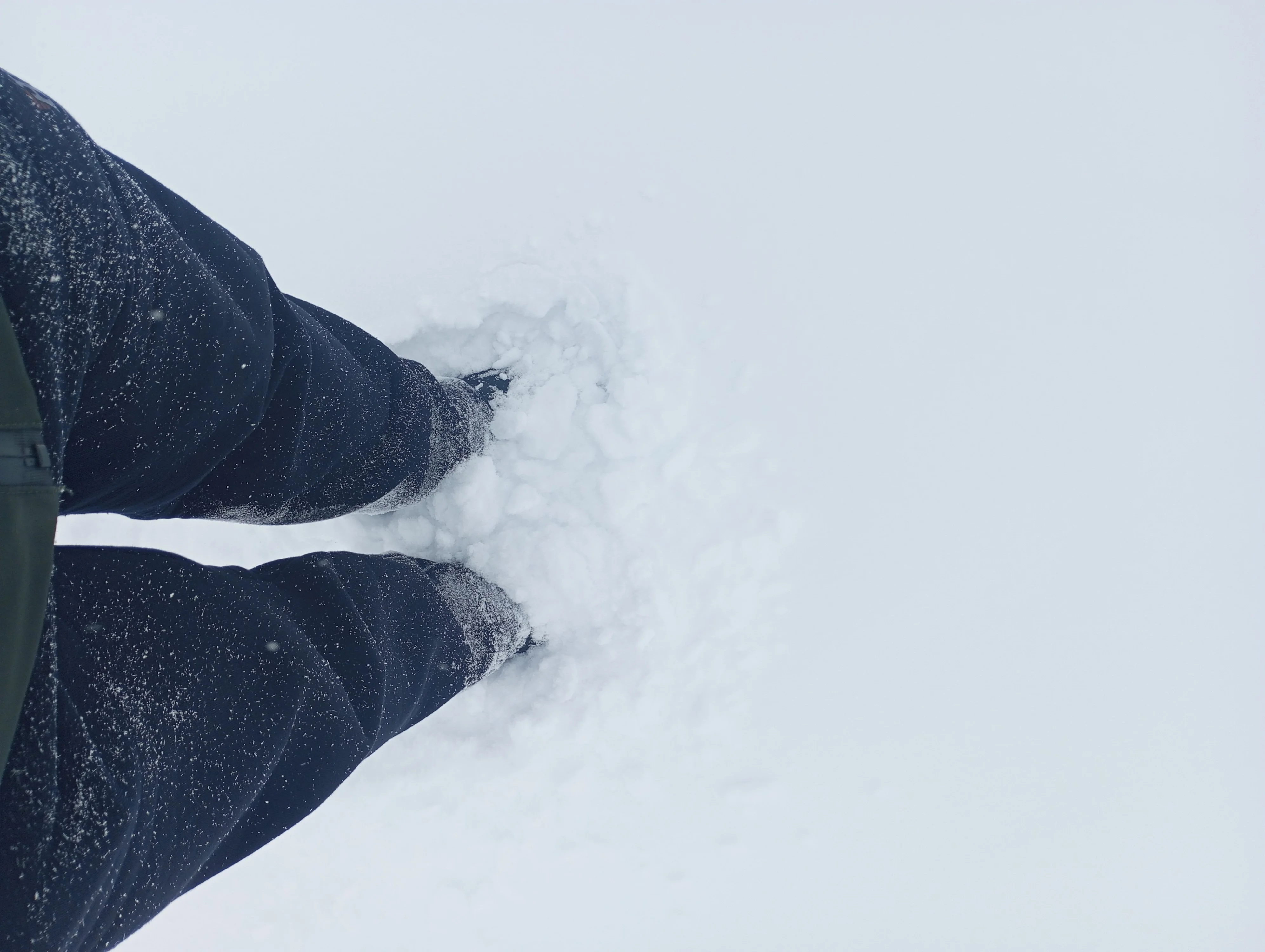 2024-02-15 12-54-21.webp