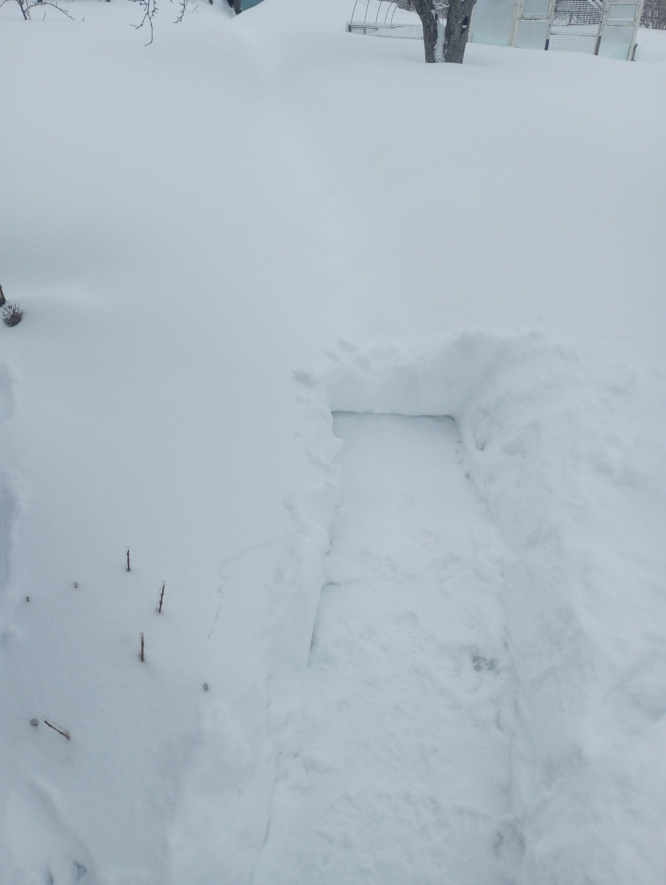 2024-02-16 09-07-25.JPG