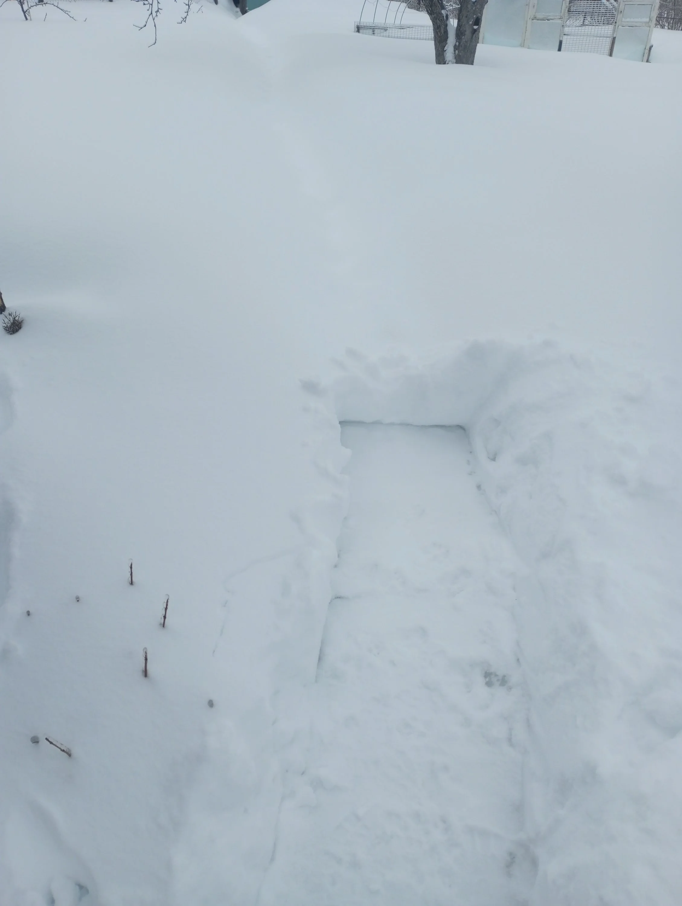 2024-02-16 09-07-25.webp