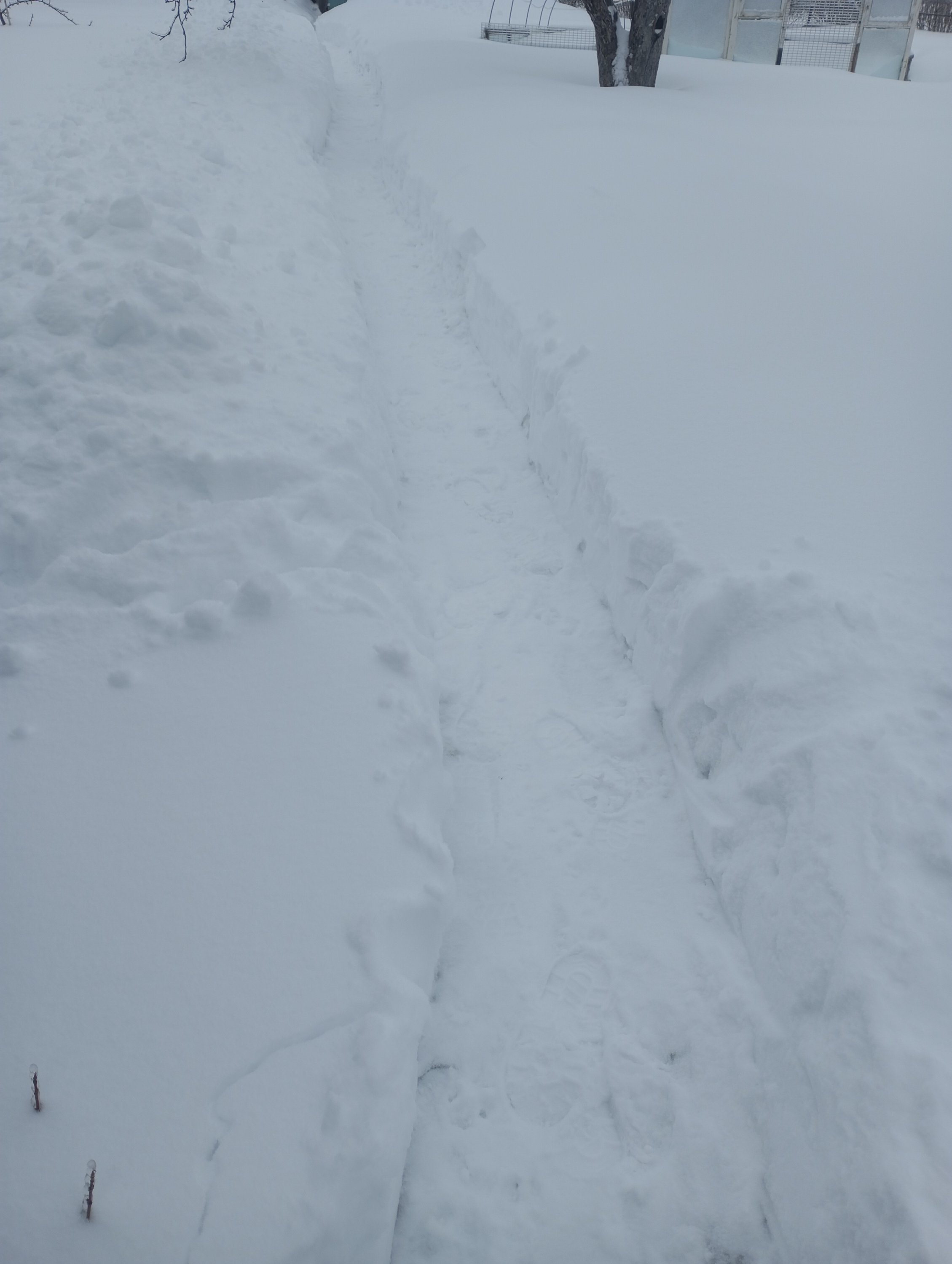 2024-02-16 09-33-13.JPG